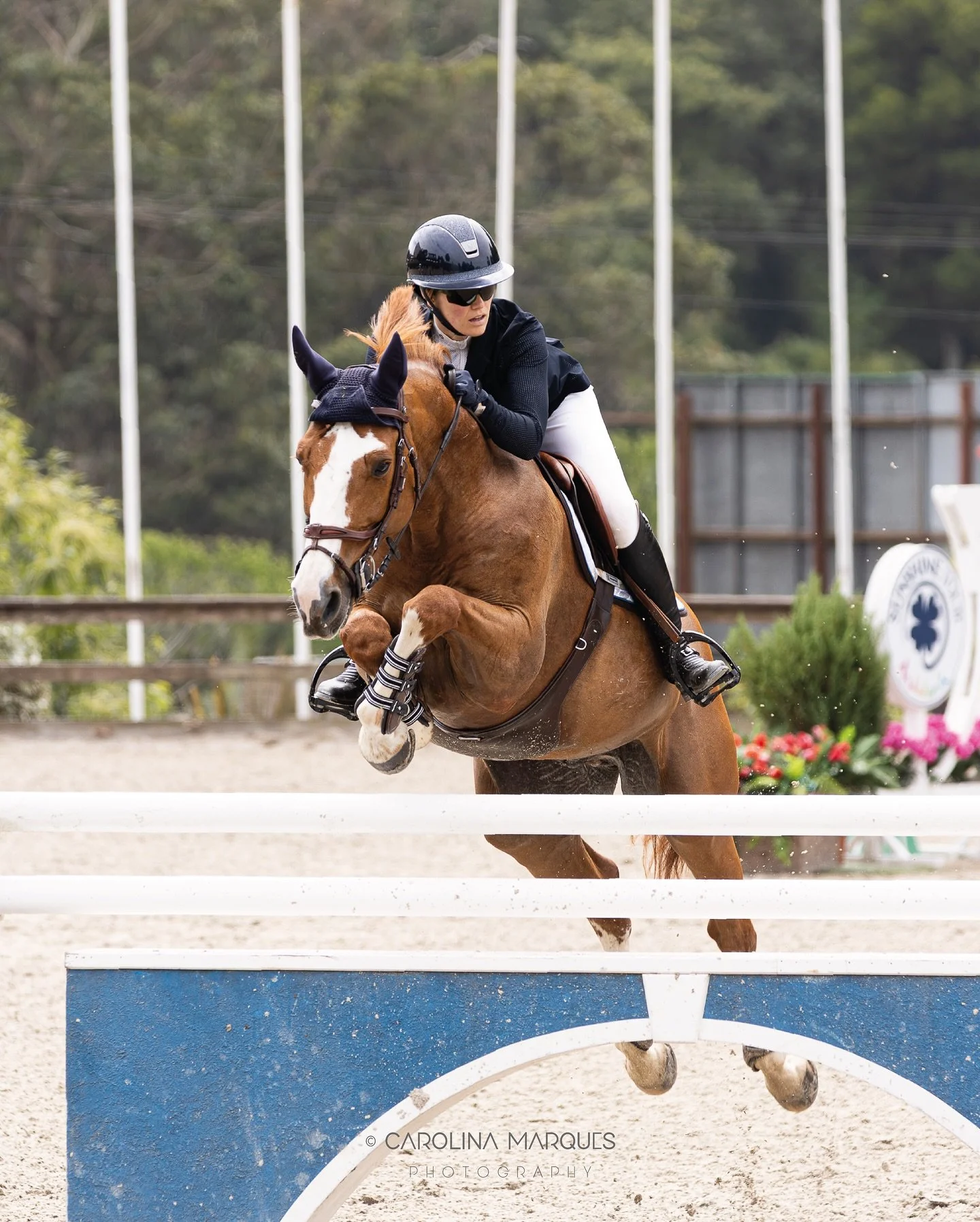 Mid-week check-in ✨
Progress isn&rsquo;t always loud &mdash; sometimes it&rsquo;s just choosing to keep going 🍃
__________

CSI 2* Matosinhos

Centro H&iacute;pico do Porto e Matosinhos
📍 @chportomatosinhos 

&copy; Carolina Marques
[ 13-15 junho 2