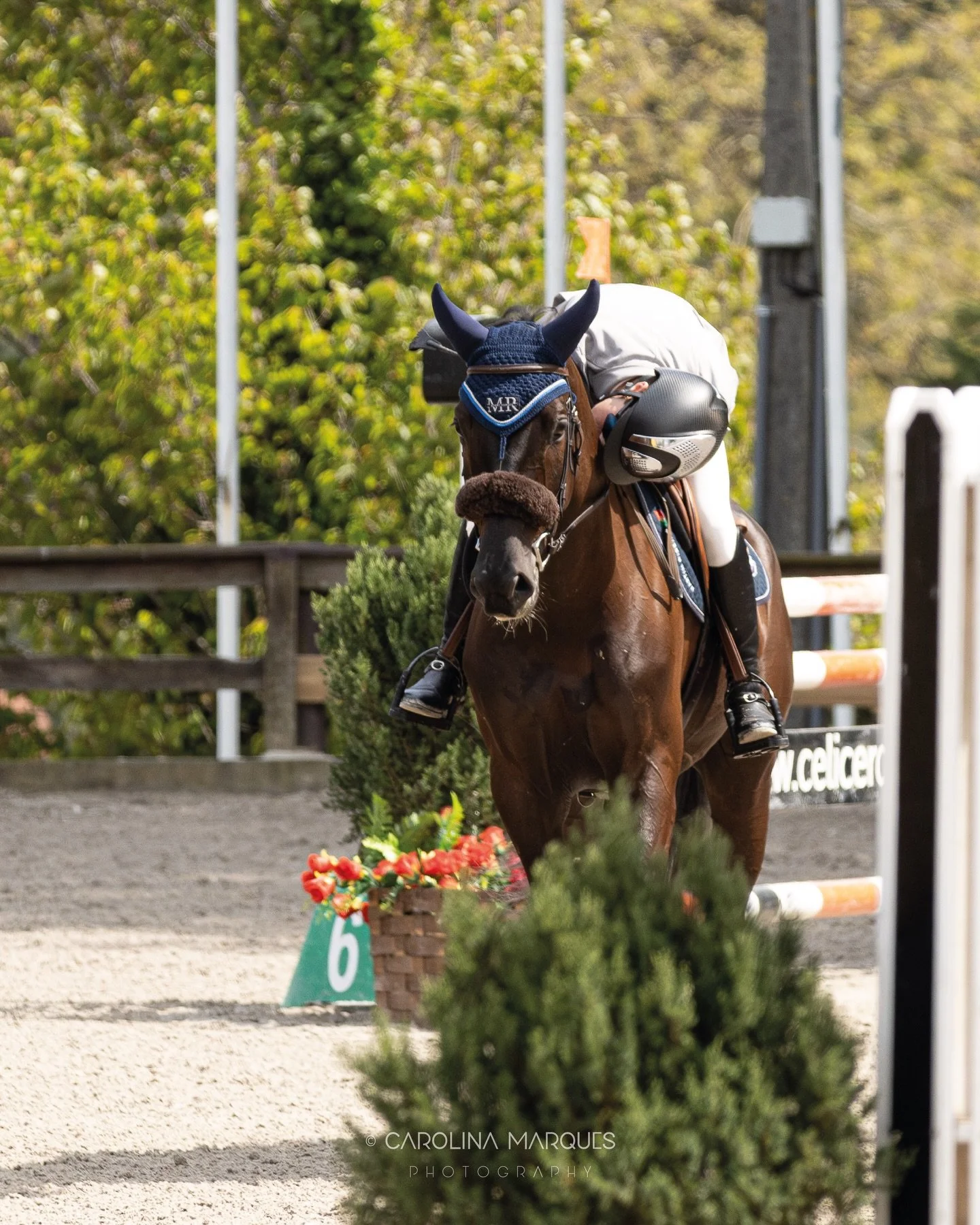 Another weekend, another show ✔️

Definitely born to live this nomadic lifestyle: traveling around to capture your best moments 📸

Next stop:
🐴 Quint&atilde;s Spring Tour 2026
📍 24.04 - 03.05
__________

CSN-B Matosinhos 

📍 Centro H&iacute;pico 