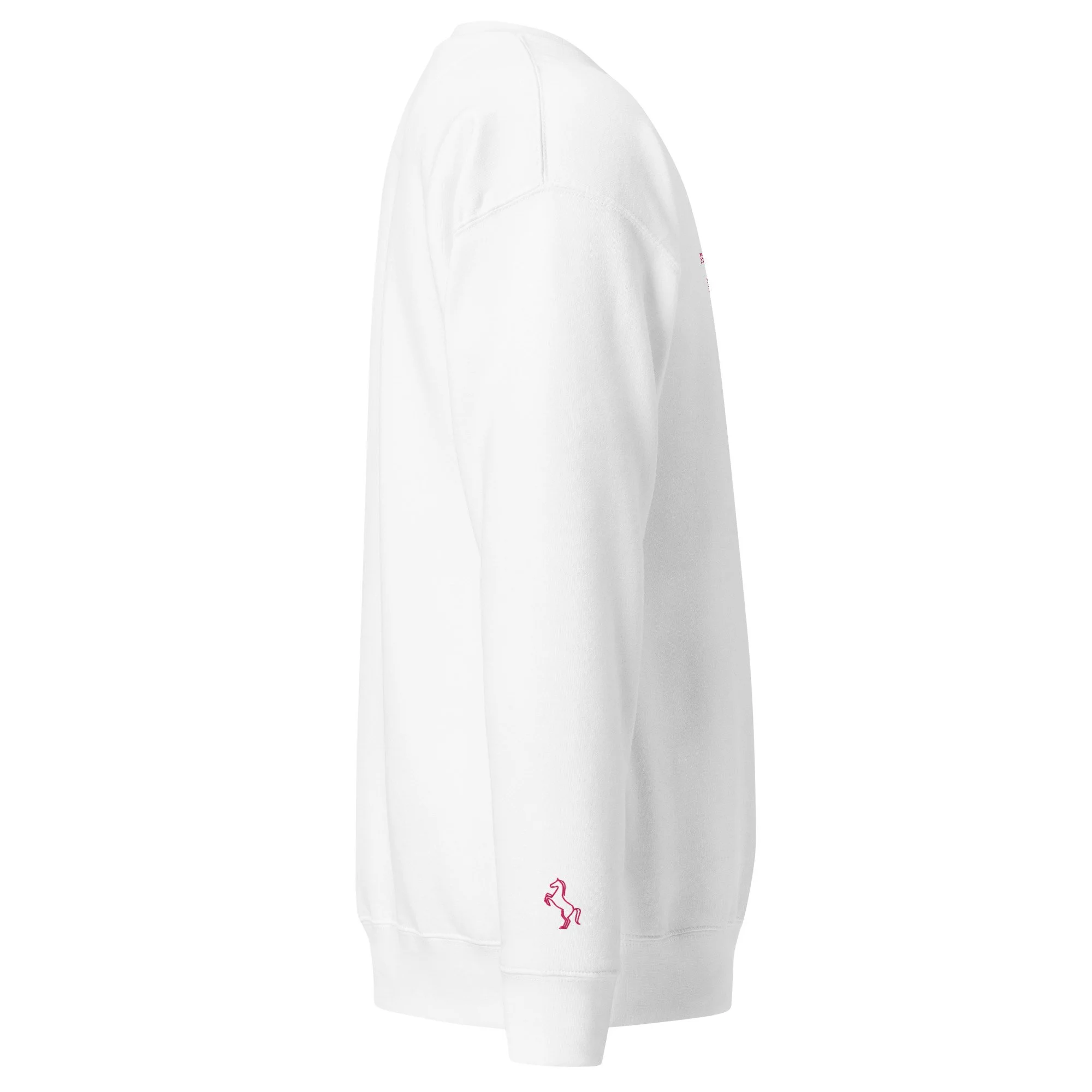 unisex-premium-sweatshirt-white-right-6a01280dc6306.jpg
