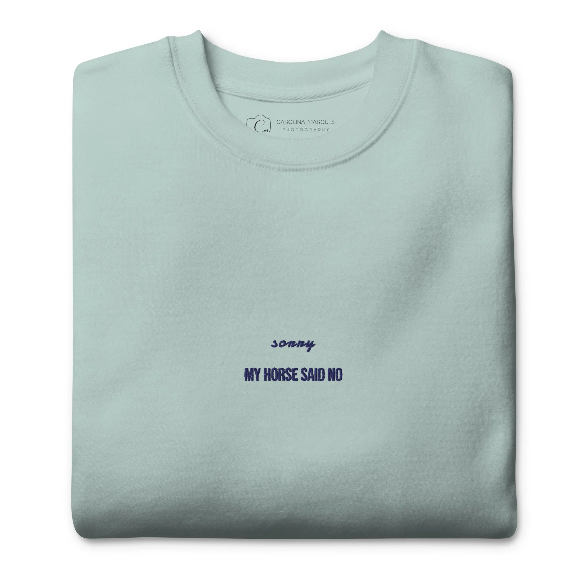 unisex-premium-sweatshirt-agave-front-6a00ac80b6a05.jpg