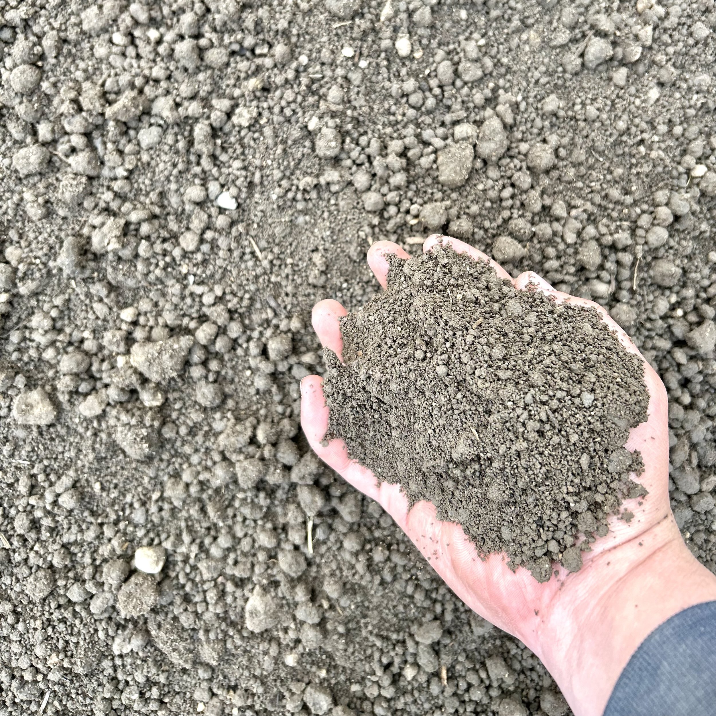 soil.jpg