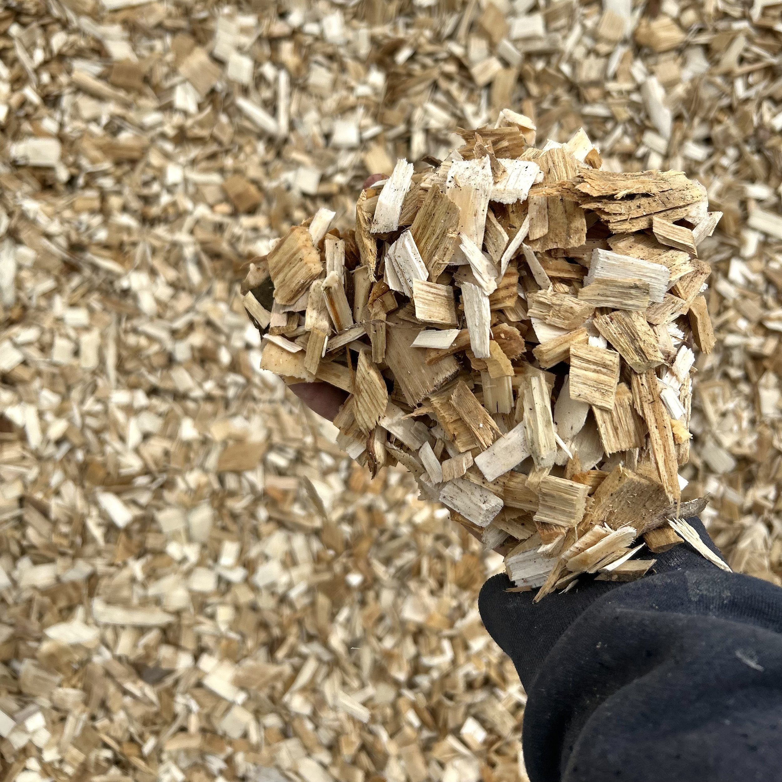 Playground Chips