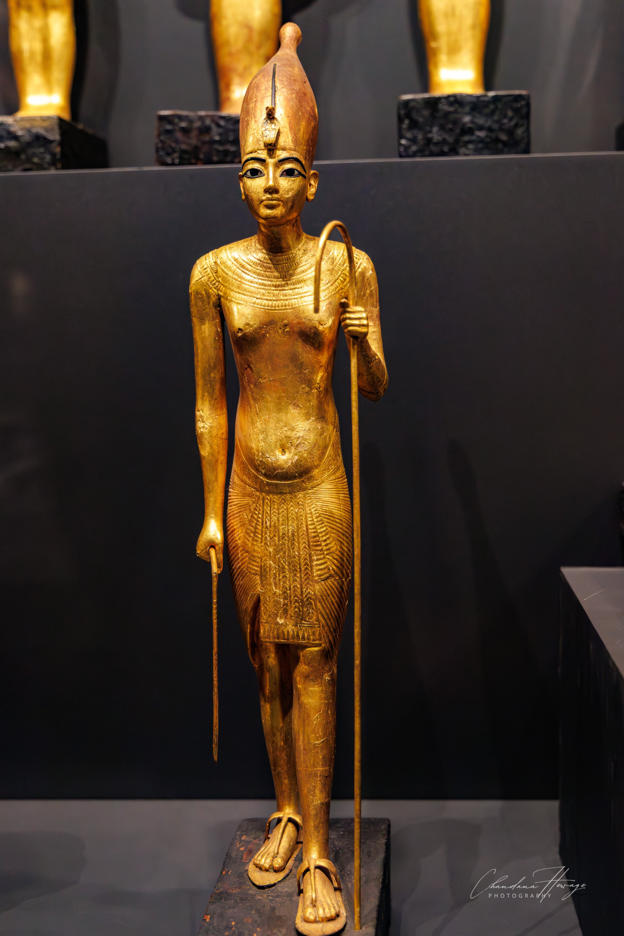 tut as a shepherd 2-1.jpg