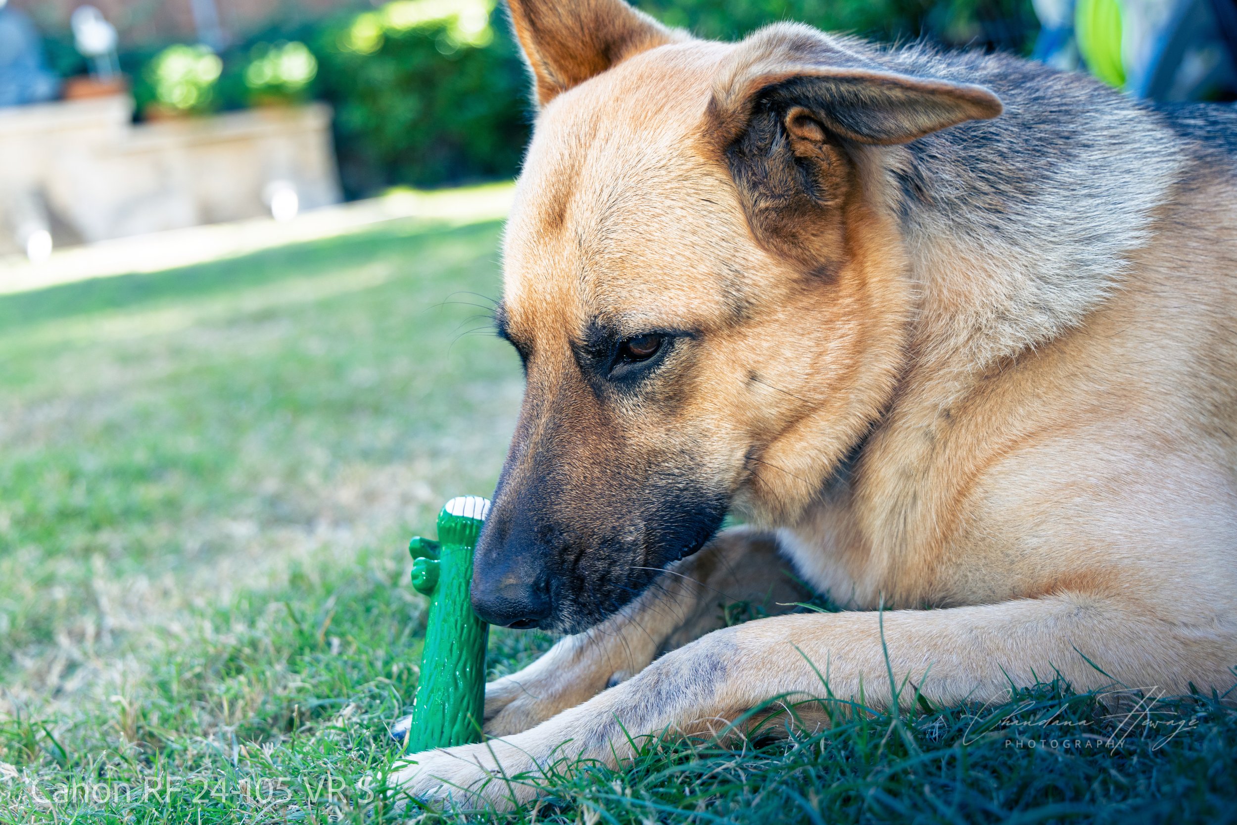 1-160 sec at f - 4.0 ISO 400RF24-105mm F4 L IS USM-2.jpg
