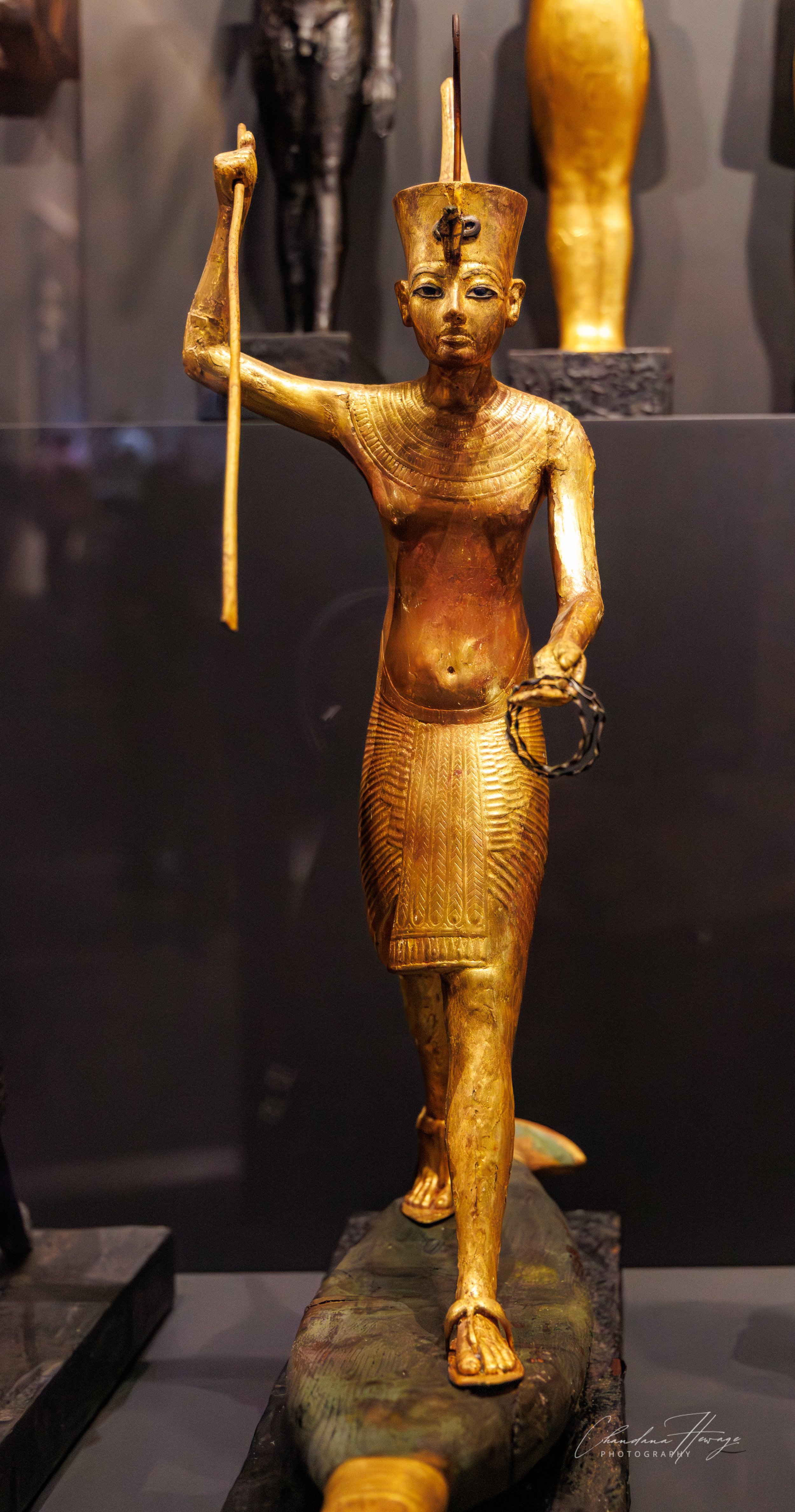 tut in red crown of lower egypt-1.jpg