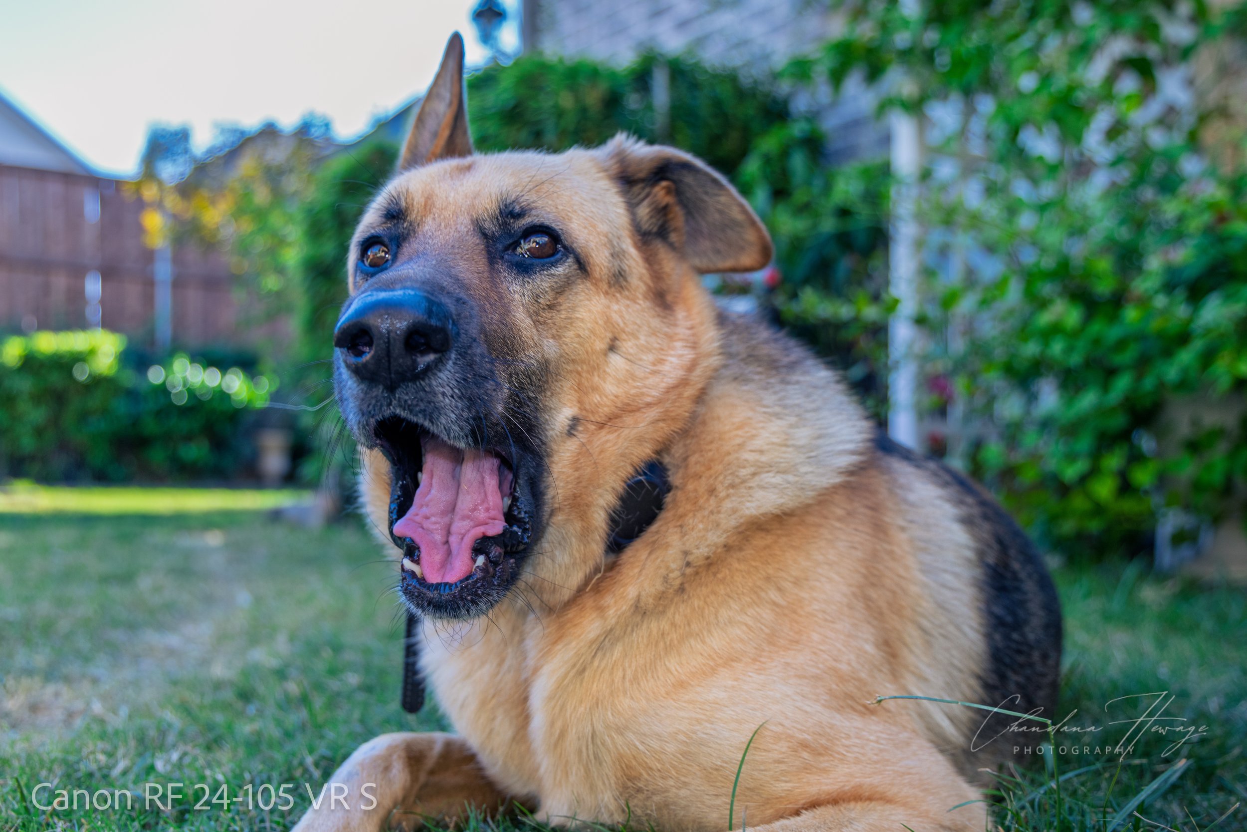 1-160 sec at f - 4.0 ISO 200RF24-105mm F4 L IS USM.jpg
