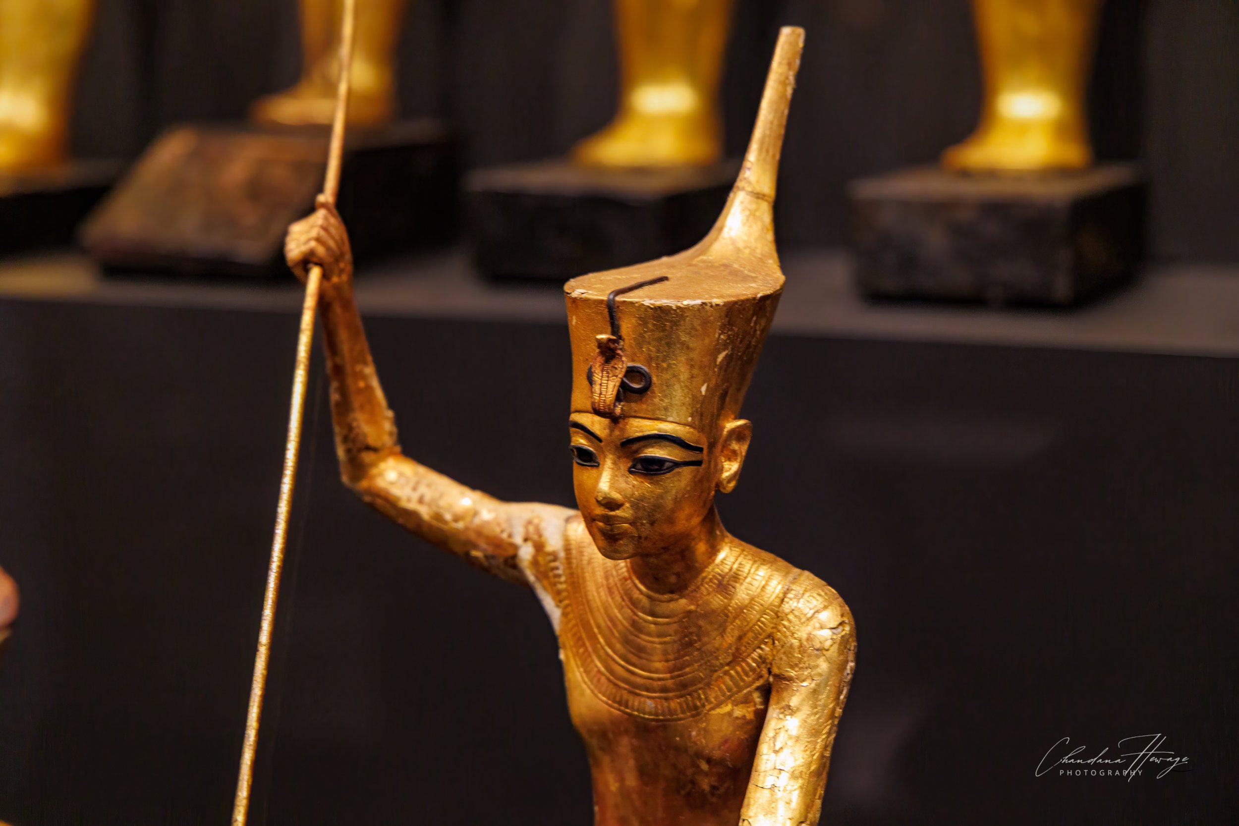 tut in Deshret Crown of lower Egypt-1.jpg