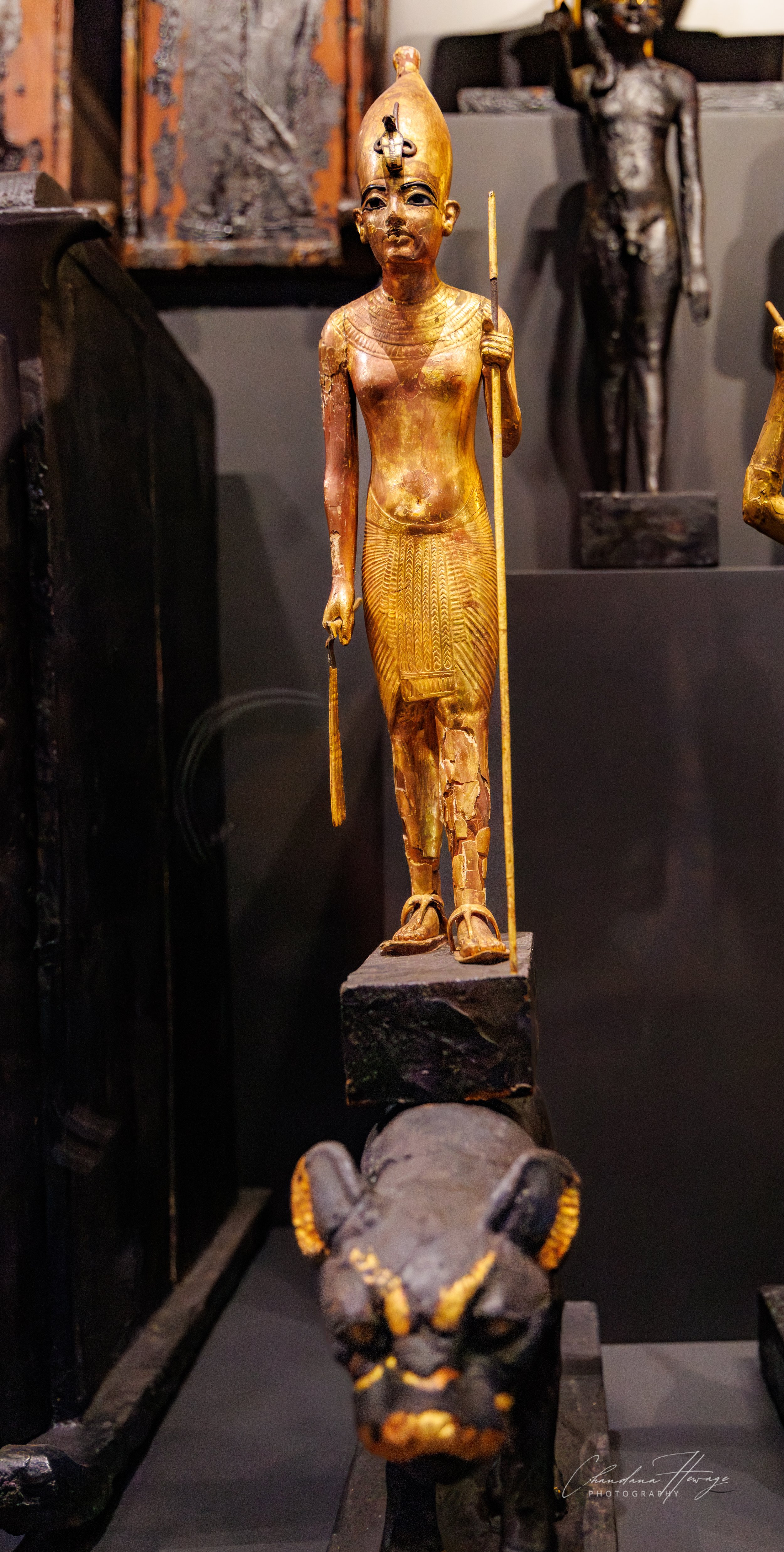 tut in red crown Deshret-1.jpg