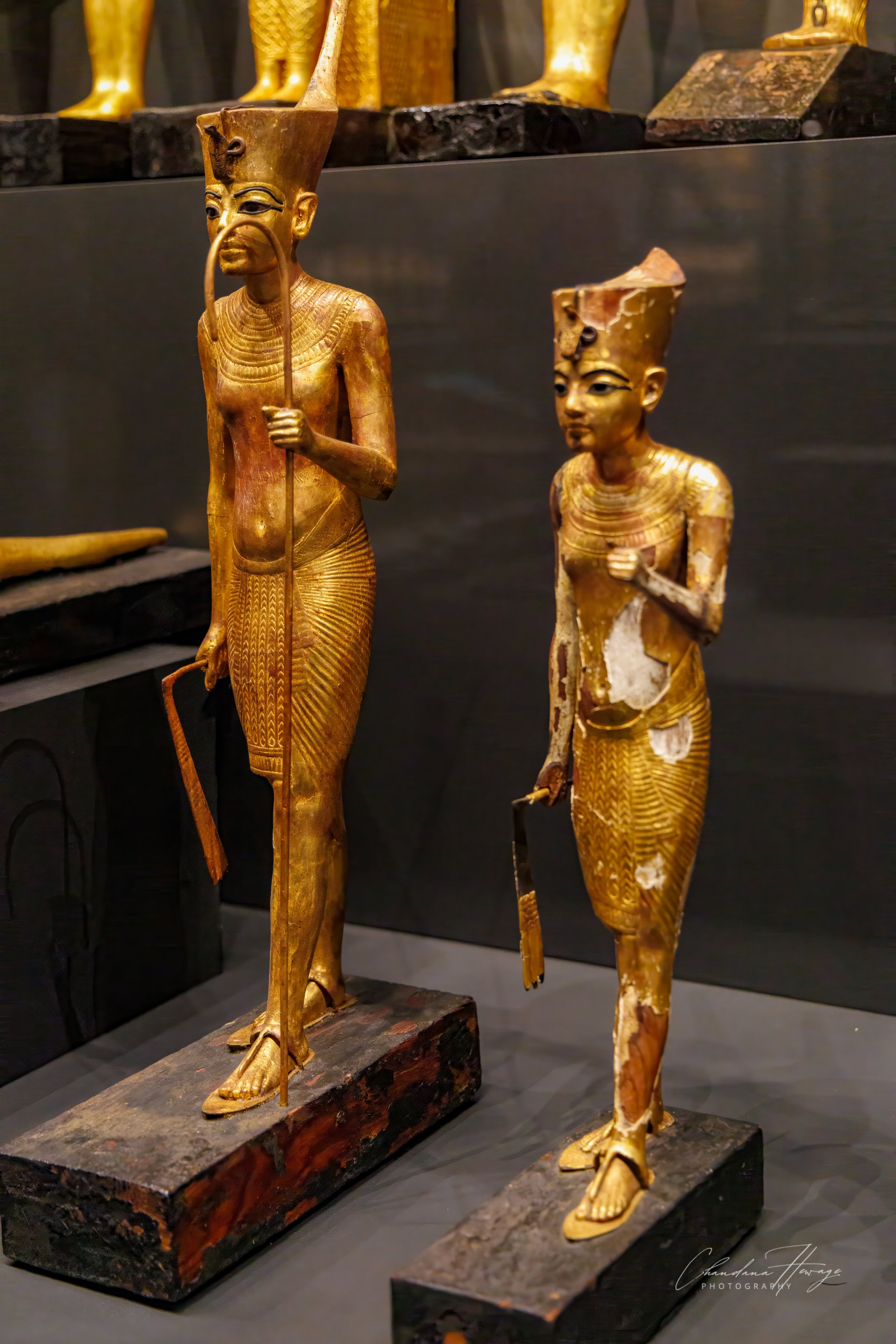 tut as a shepherd-1.jpg