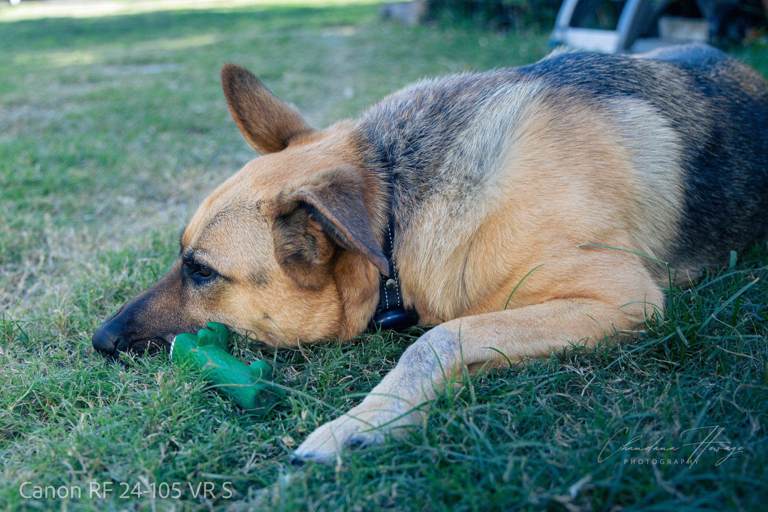 1-160 sec at f - 4.0 ISO 320RF24-105mm F4 L IS USM-2.jpg