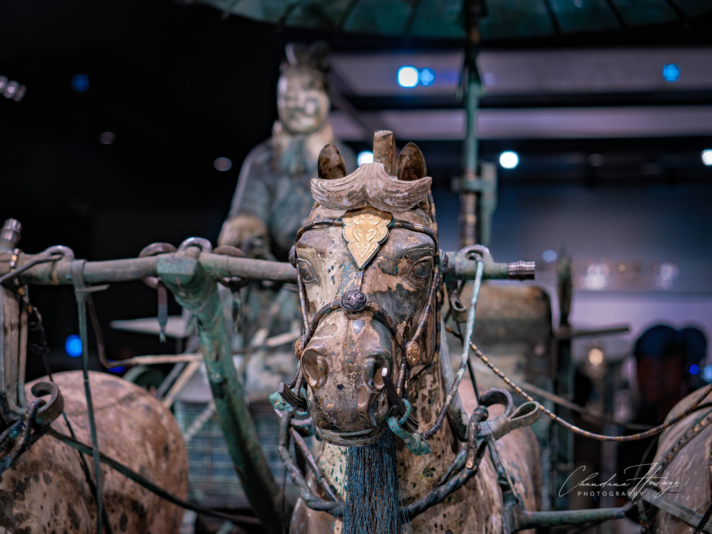 OM 12-40mm f-2.8-1-13.jpg