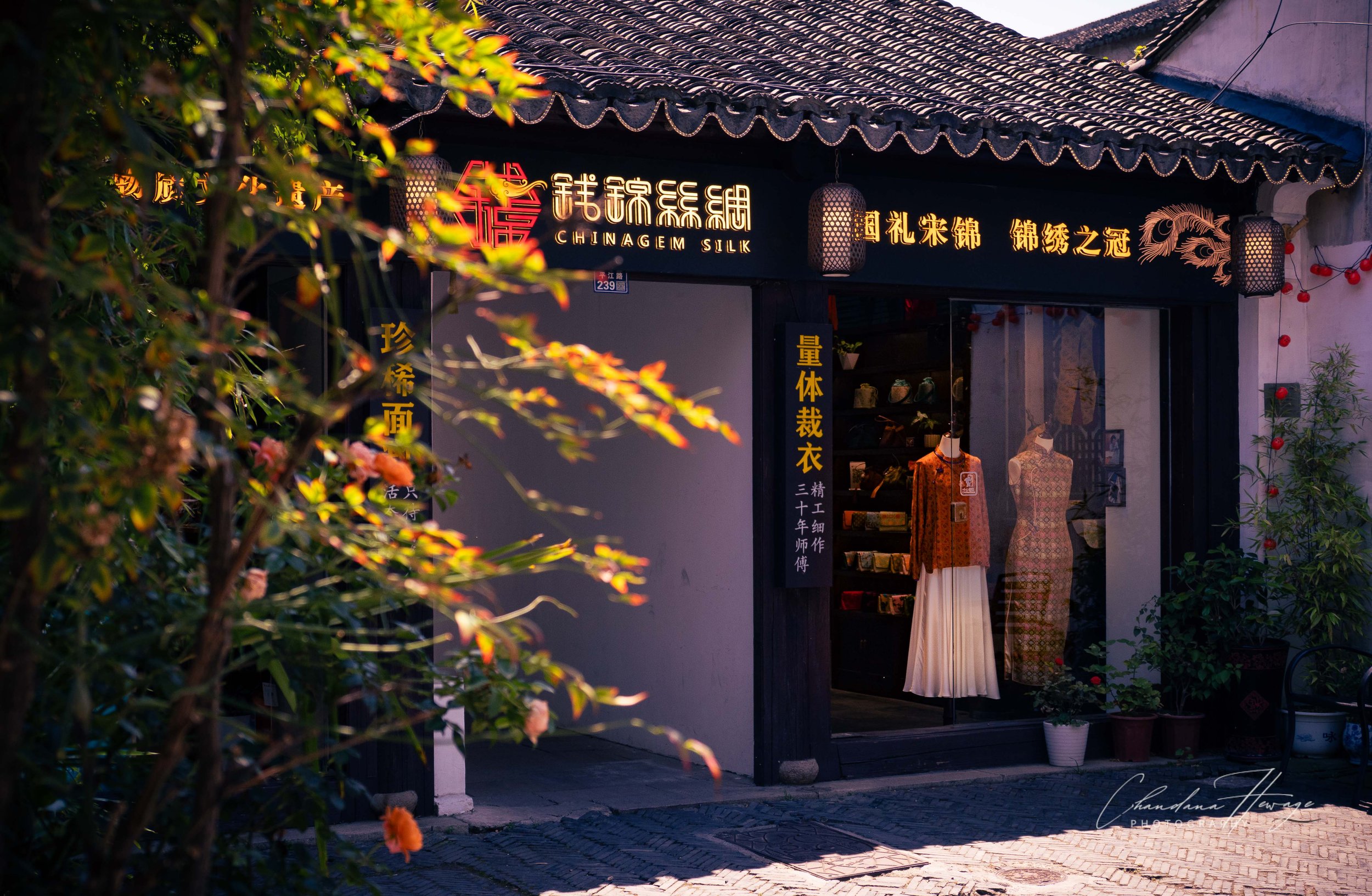 OM 12-100mm f-4-1-13.jpg