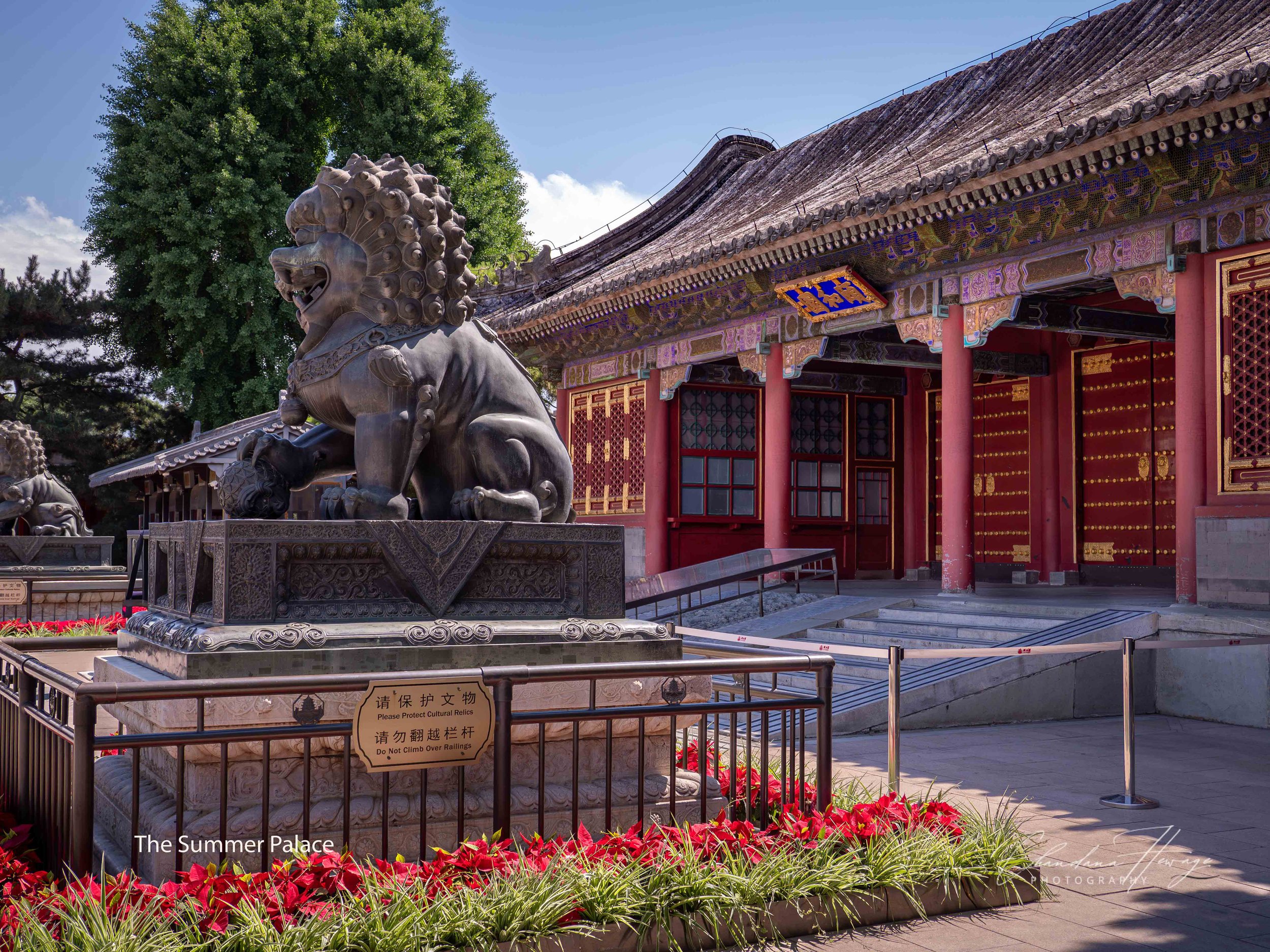 A majestic bronze Imperial Lion (Shi) guarding the entrance to the residential quarters of the complex just outside the grand Gate of Happiness and Longevity.