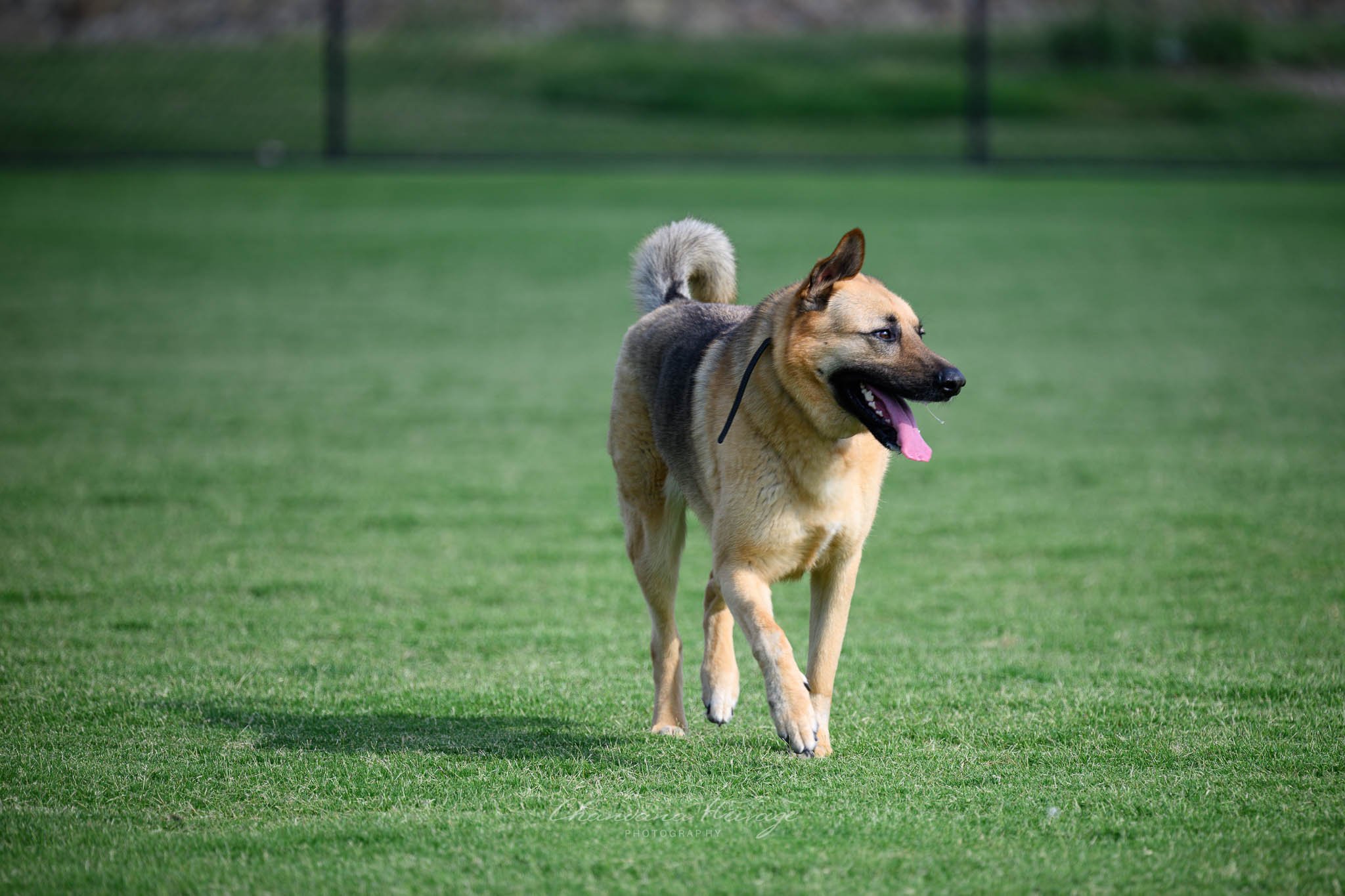 LUKA-Nikon400 mm1-400 sec at f - 5.6.jpg
