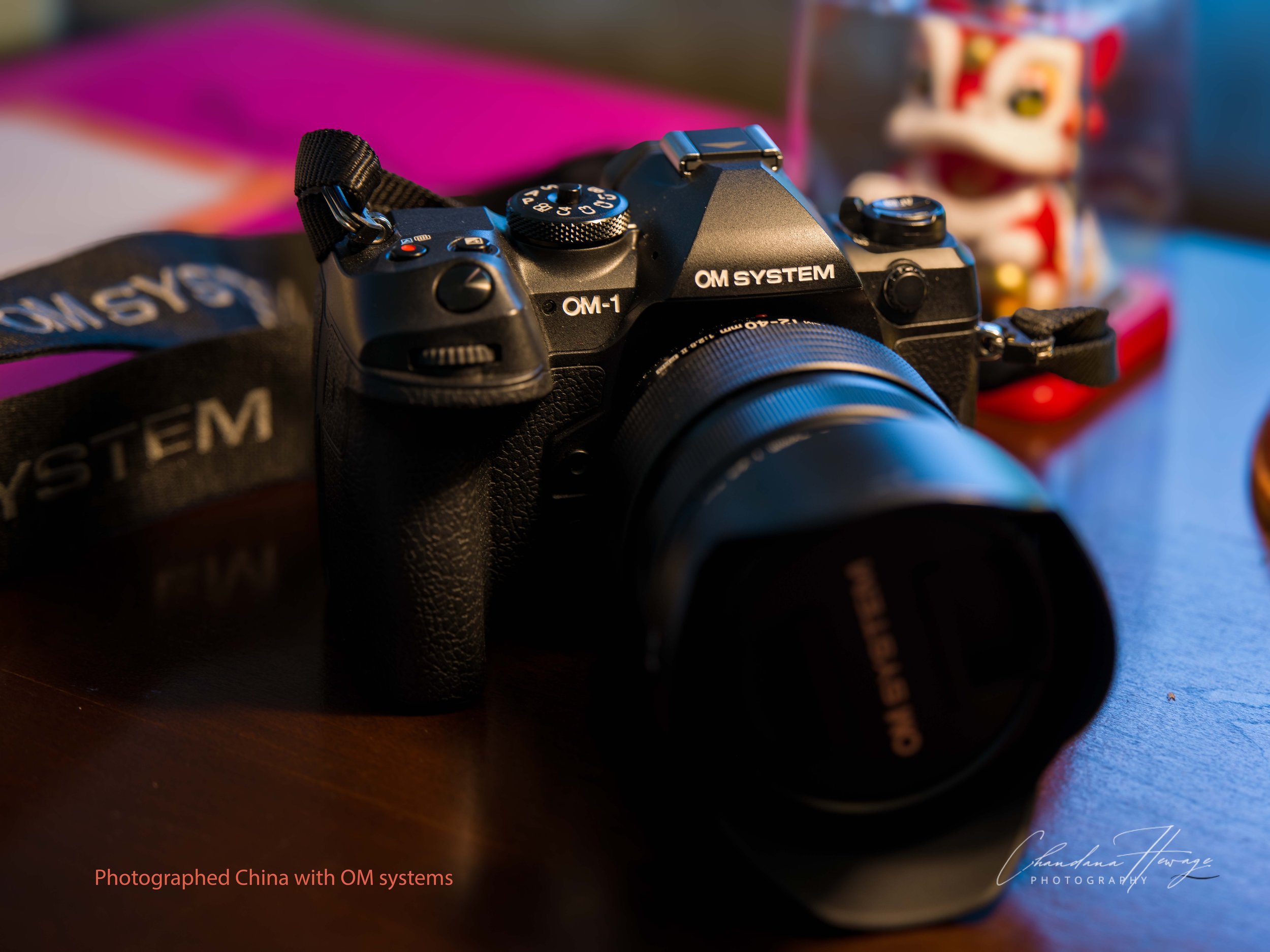 OM f-4 12-100mm-1-49.jpg