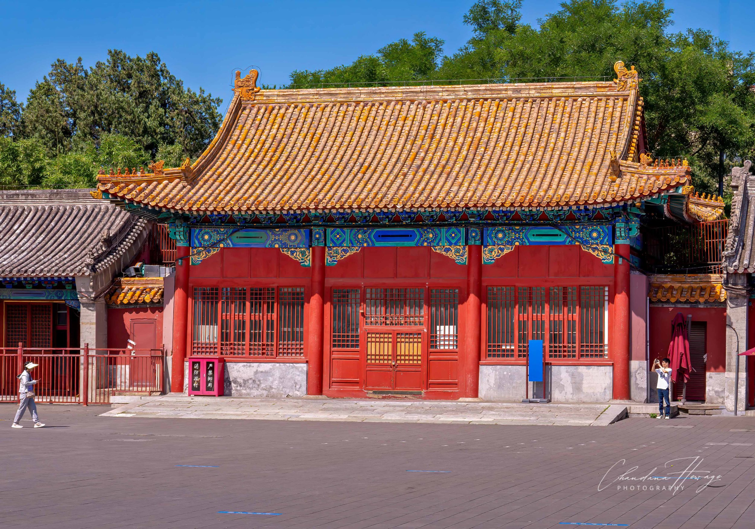OM 24-200mm f-4-1-17.jpg