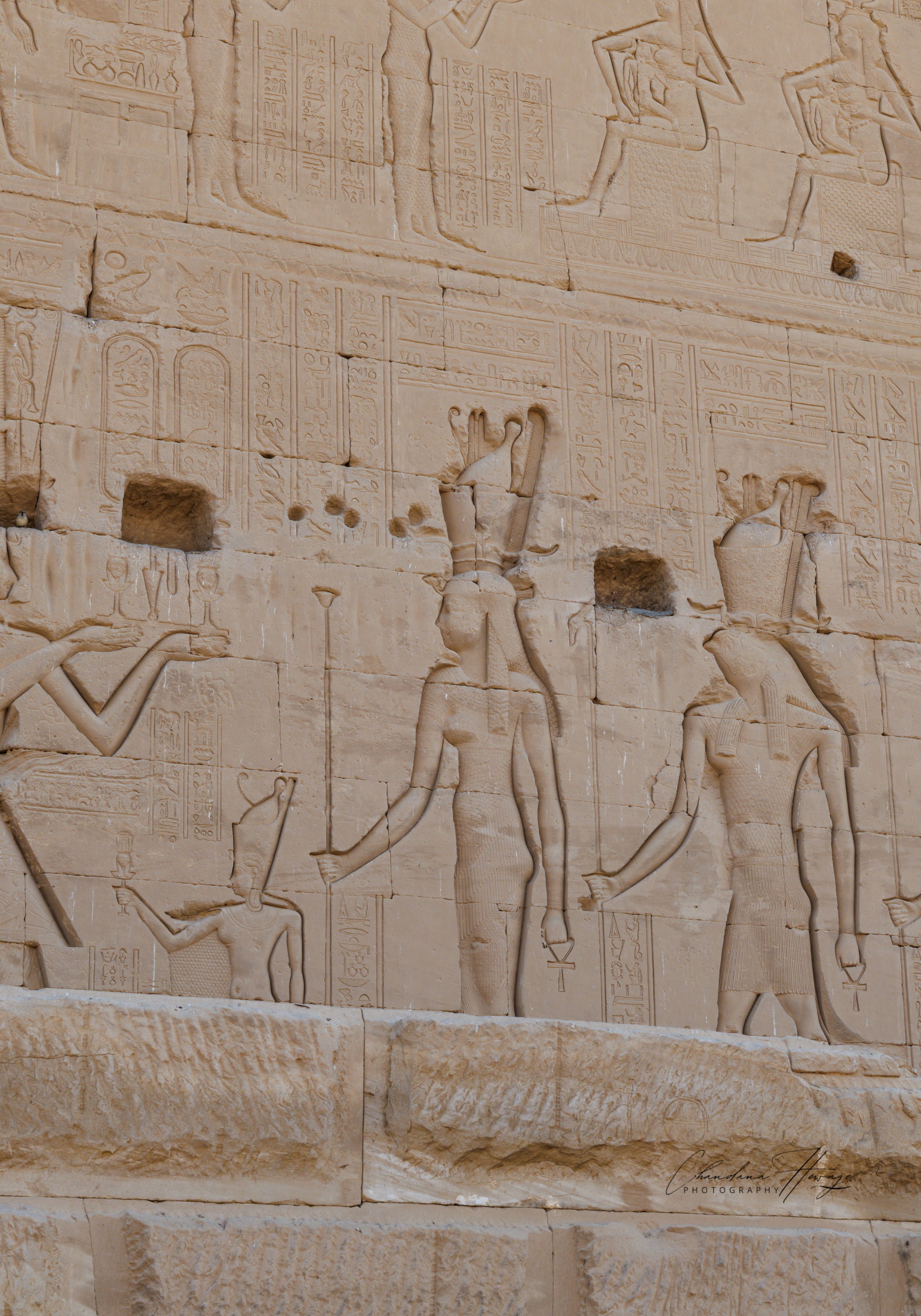 Dendara - cleopatra VII-1-2.jpg