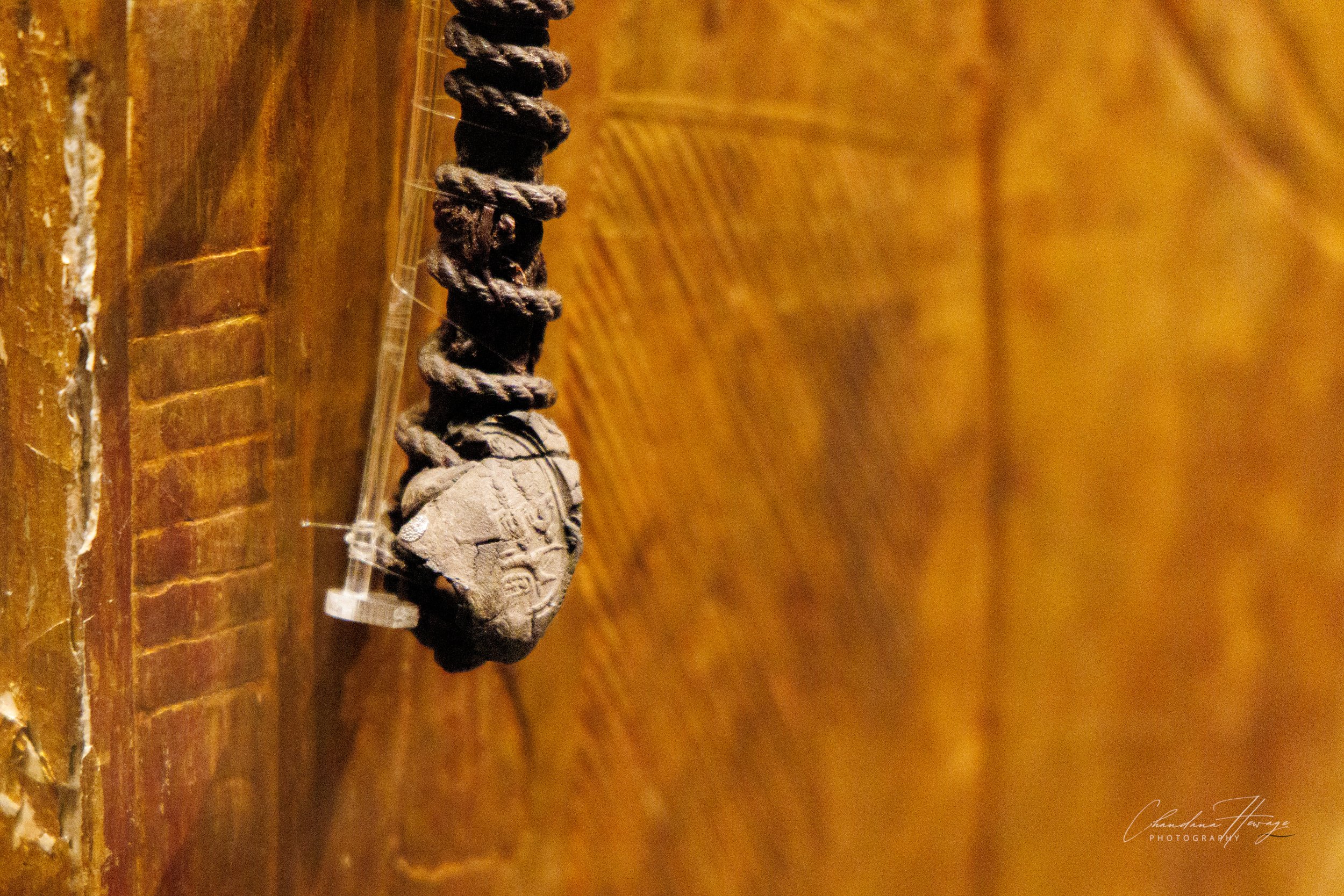 tut - Royal Seal-1.jpg