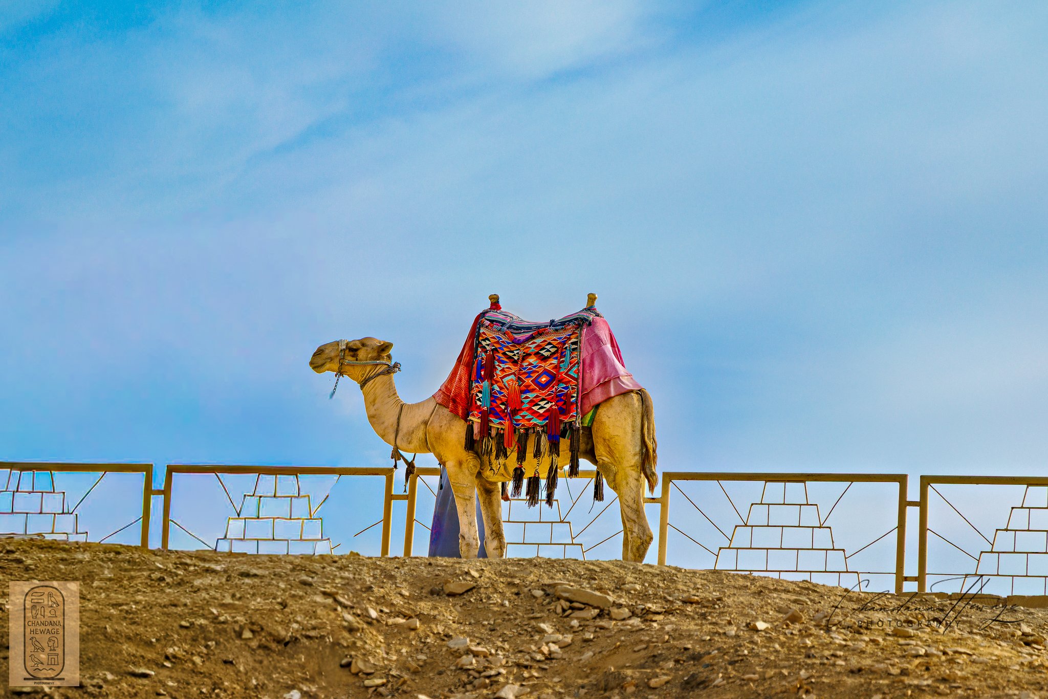 1-1250 sec at f - 4.5 ISO 100RF24-105mm F4 L IS USM-2.jpg