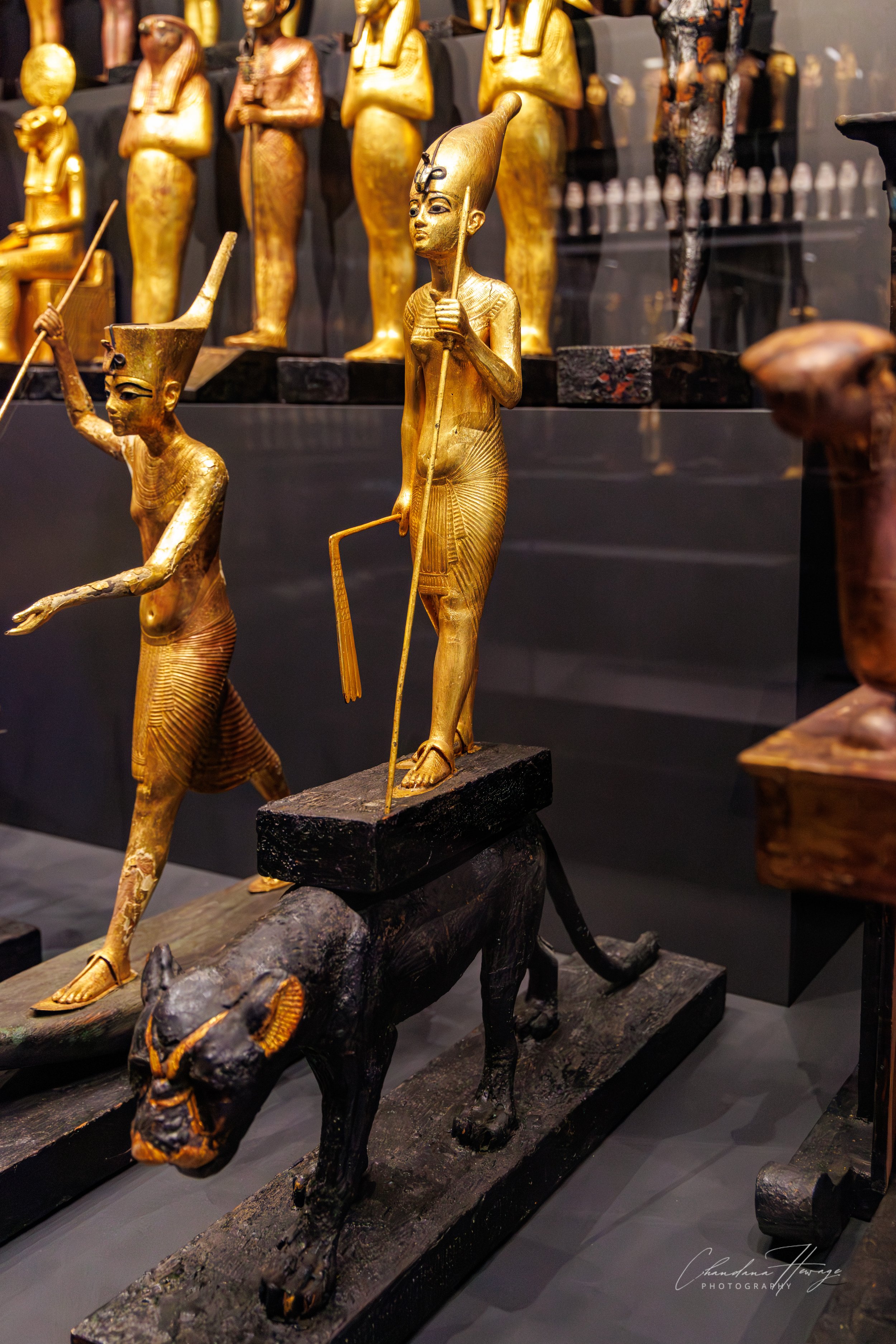 tut on black panther-1.jpg