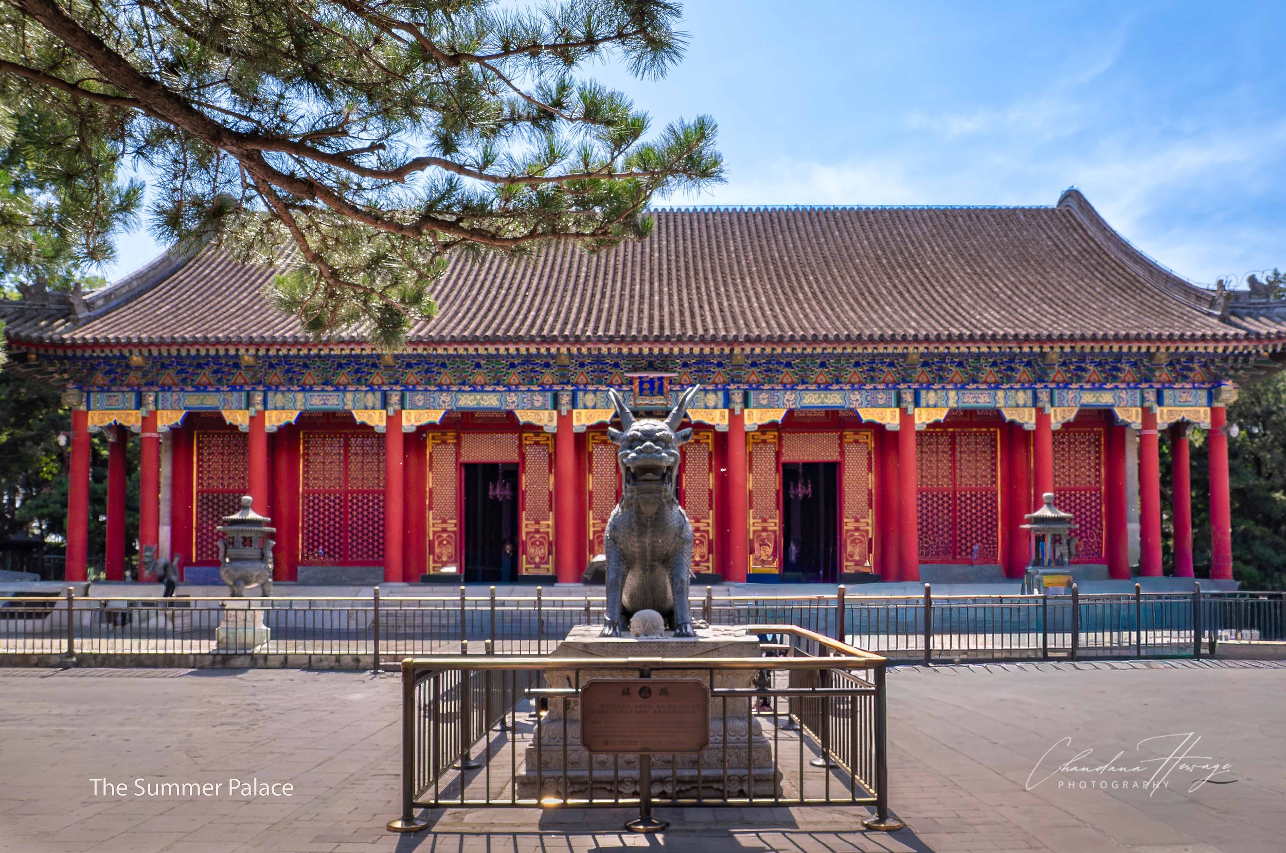The magnificent bronze Qilin in front of the Hall of  Benevolence and Longevity.
The Qilin is a mythical, benevolent beast from Chinese folklore. This specific statue is a masterpiece of Qing dynasty bronze casting.