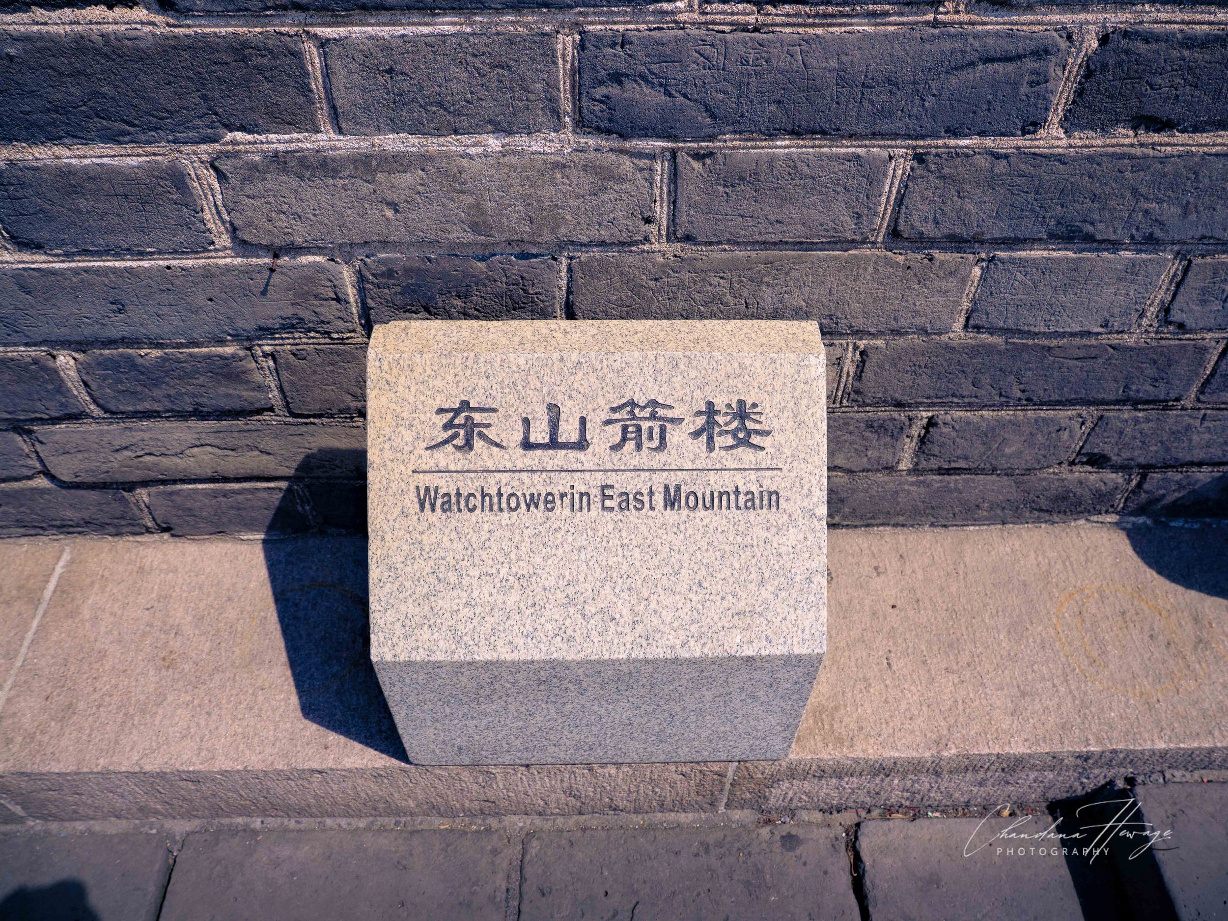 OM f-4 12-100mm-1-39.jpg