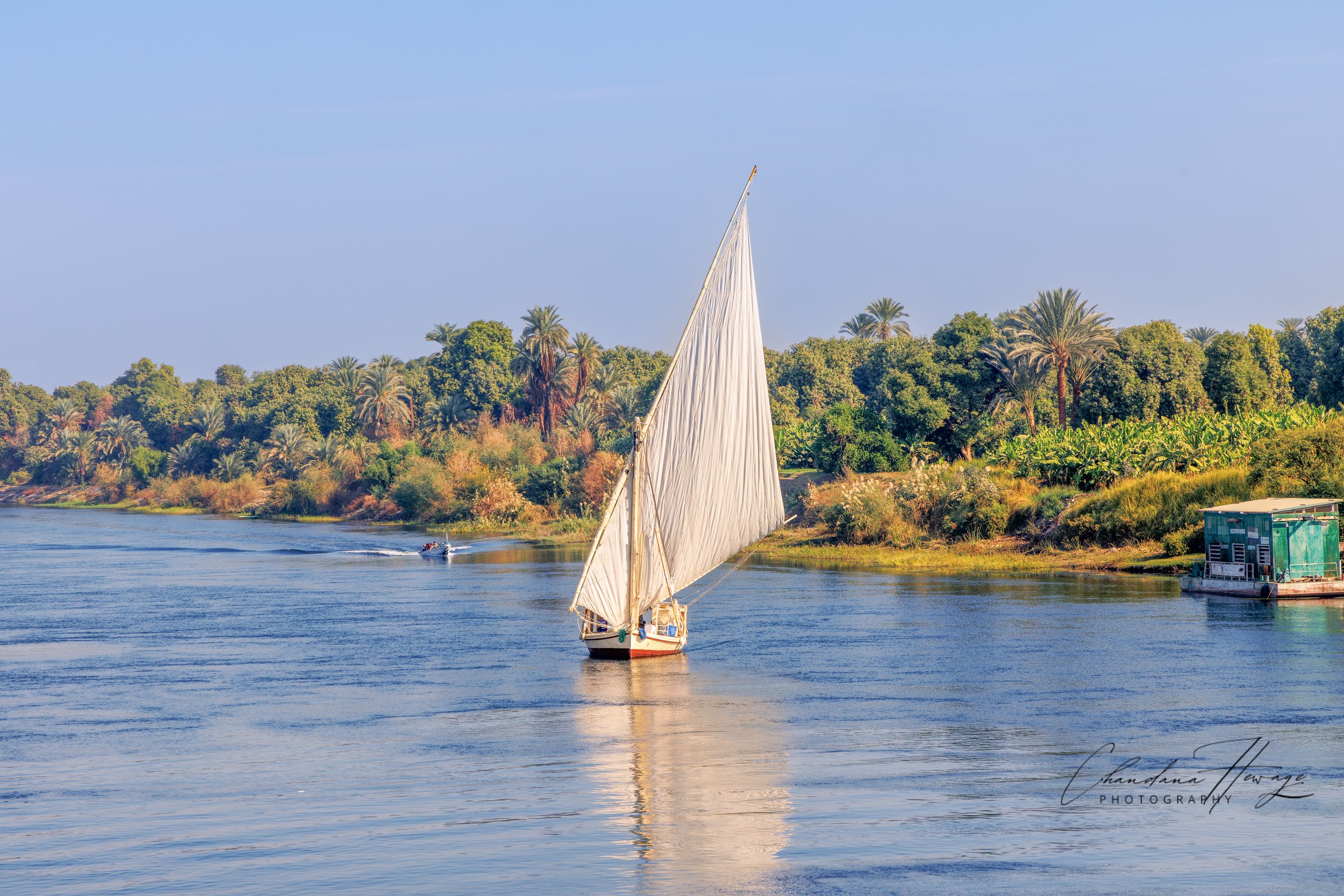 Nile-1-59.jpg