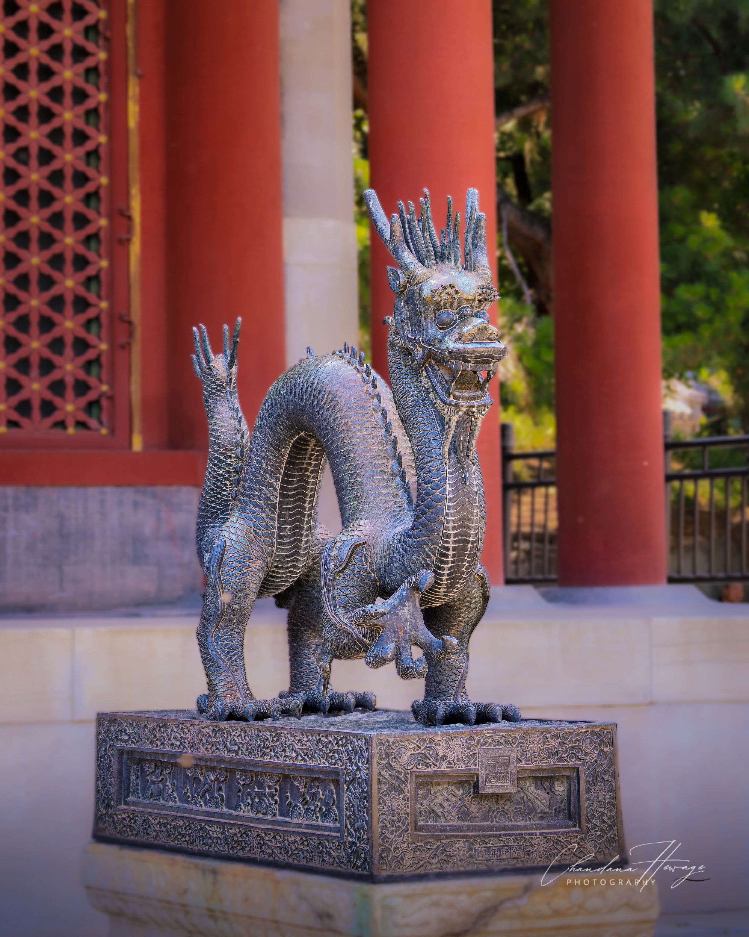 In traditional Chinese culture, the long dragon is the supreme symbol of imperial power, majesty, and the Emperor himself.
This particular dragon was depicted with high energy and dynamism.