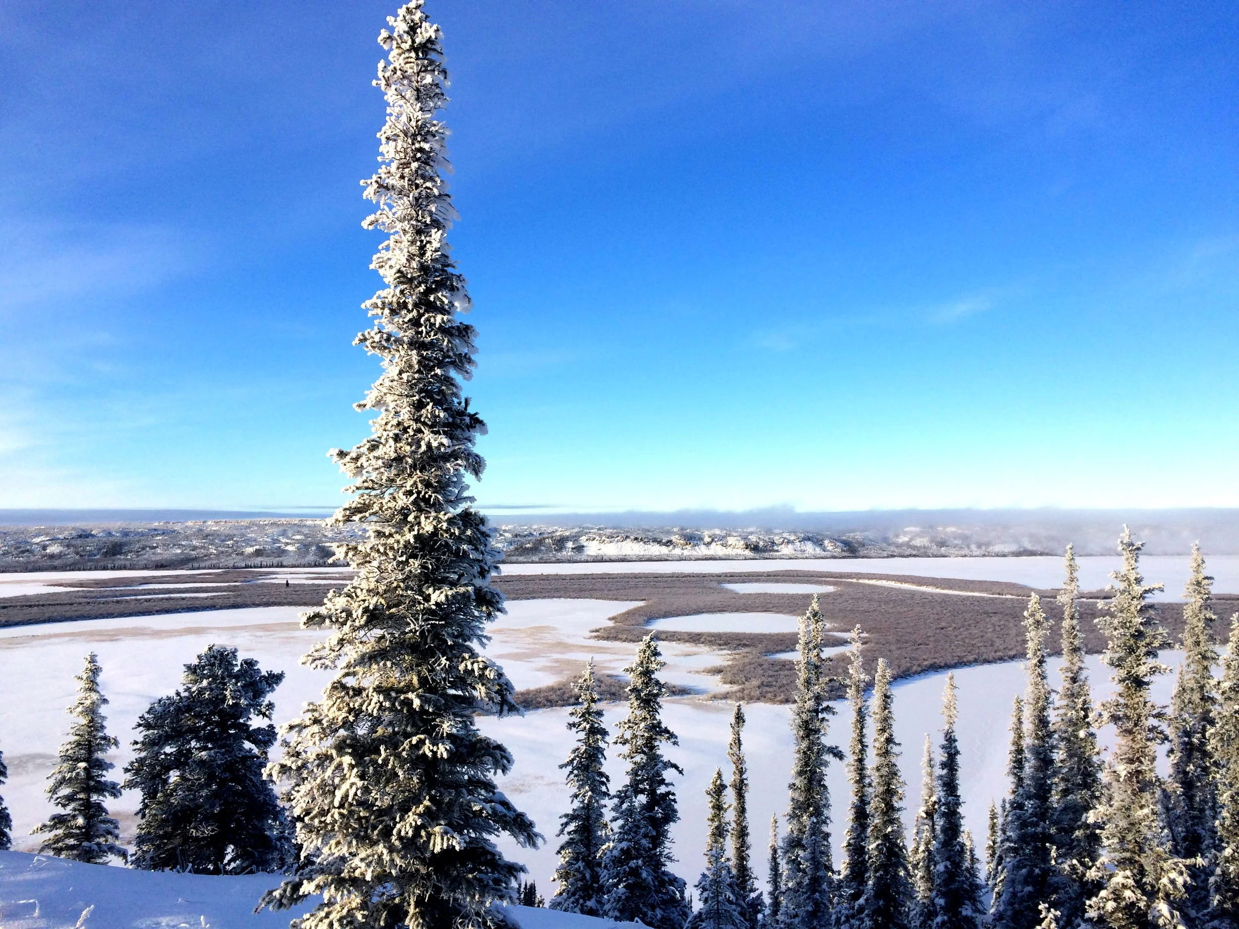Profile of a Travelling Nurse: Inuvik