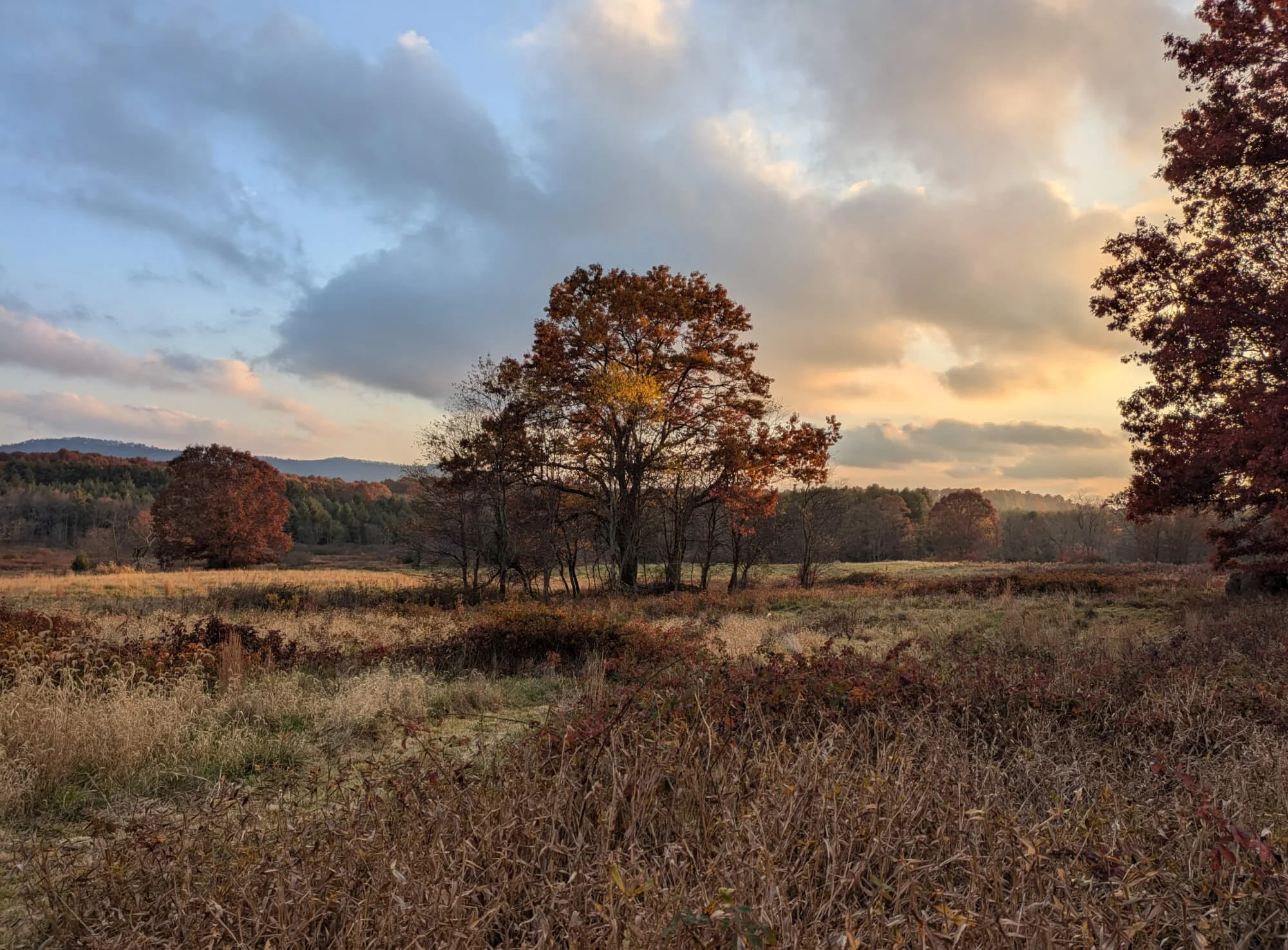 Autumn sunset views