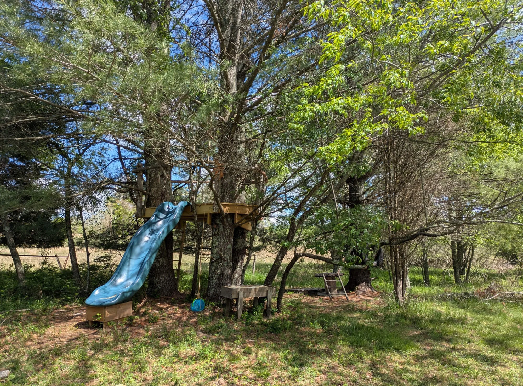 Tree house play space