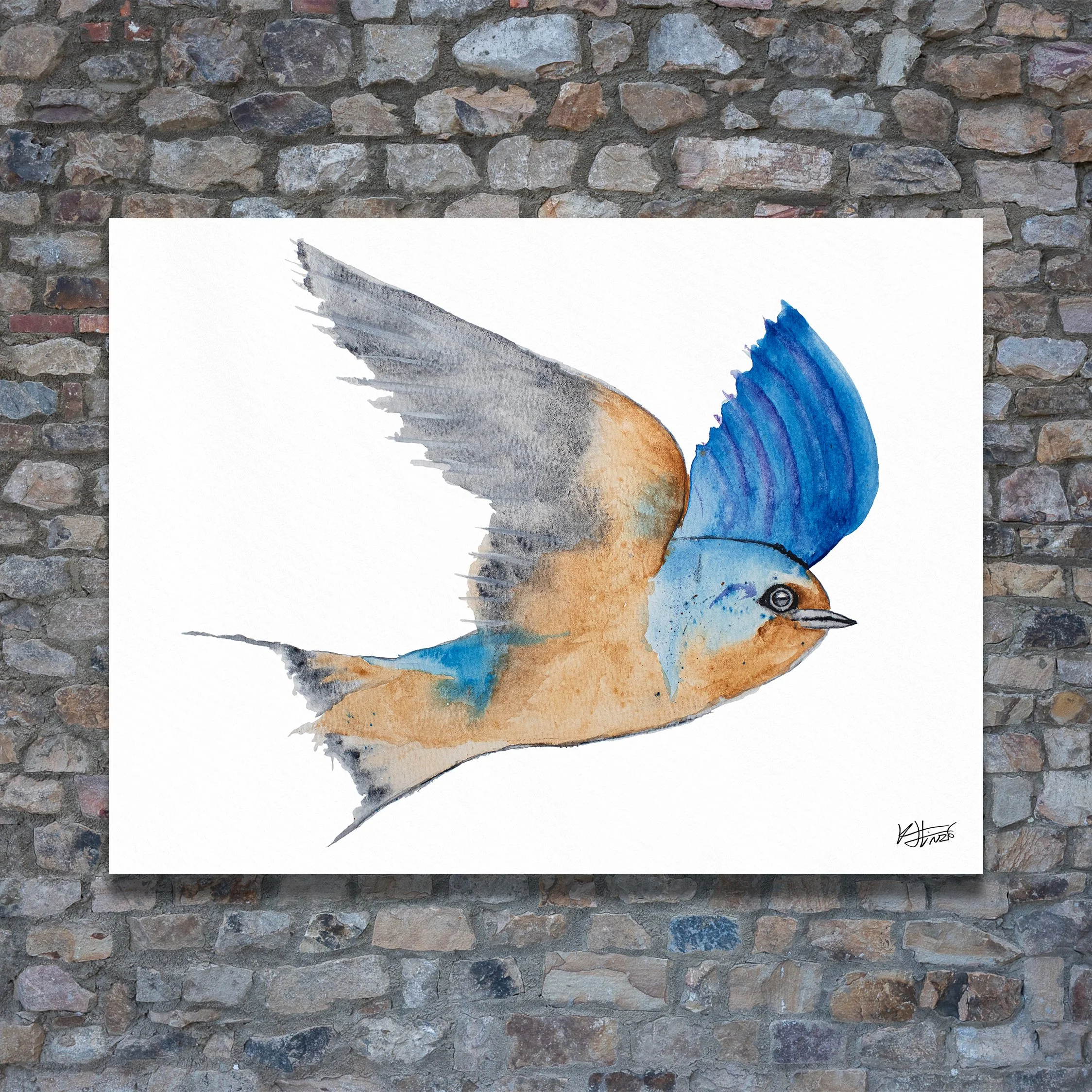 Barn Swallow 1, Art Print