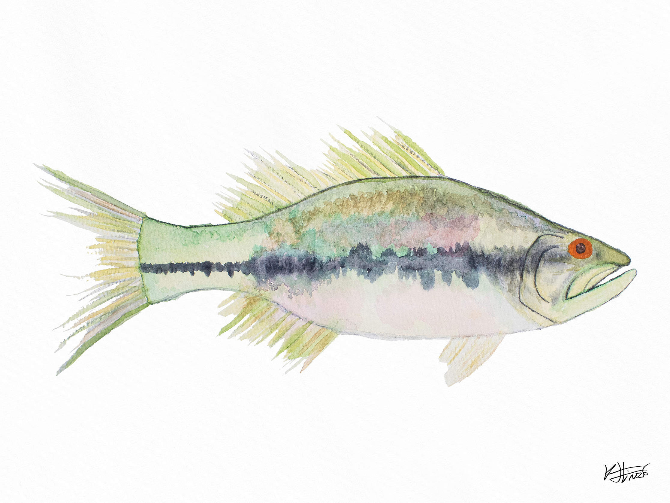 18X24 Largemouth 2 - Mockup.png