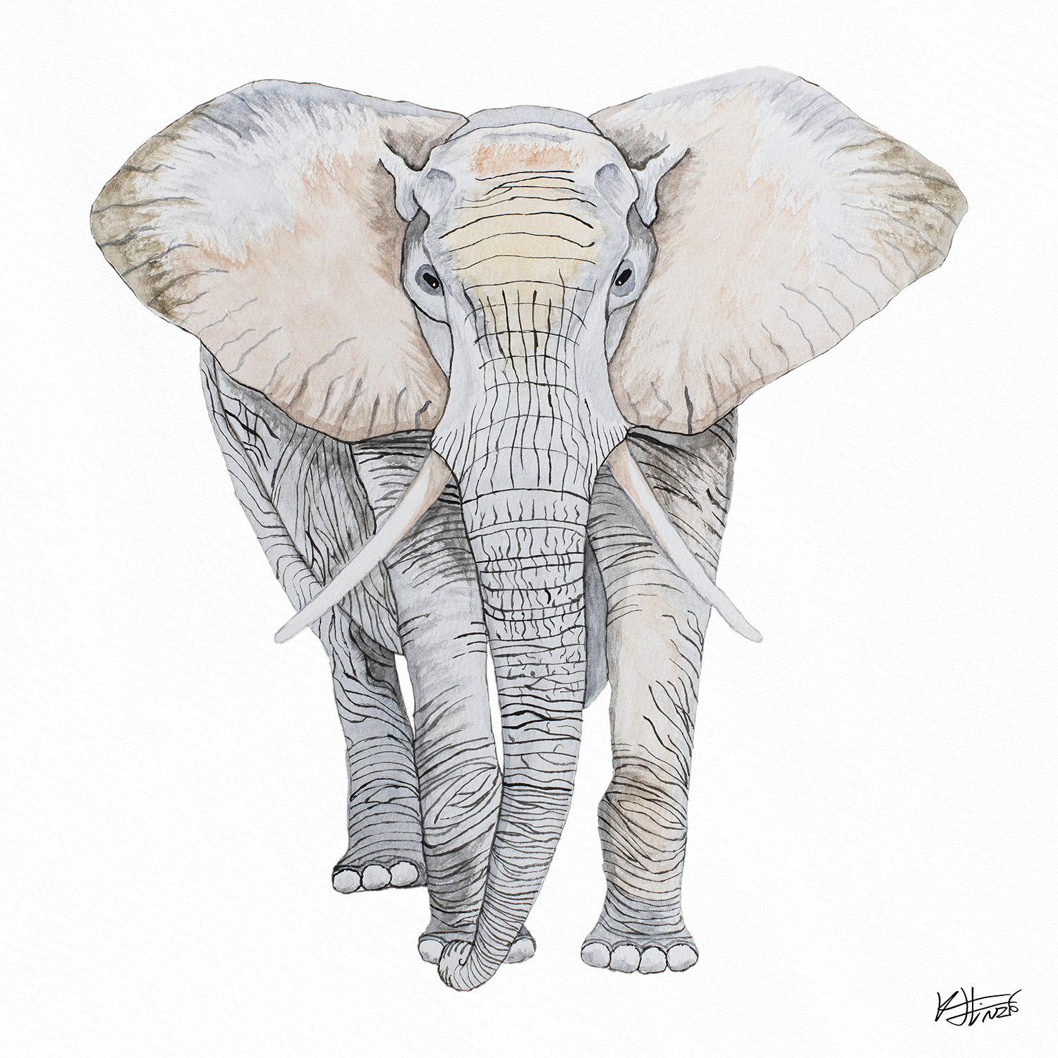 20x20 Archers Elephant - Mockup.png