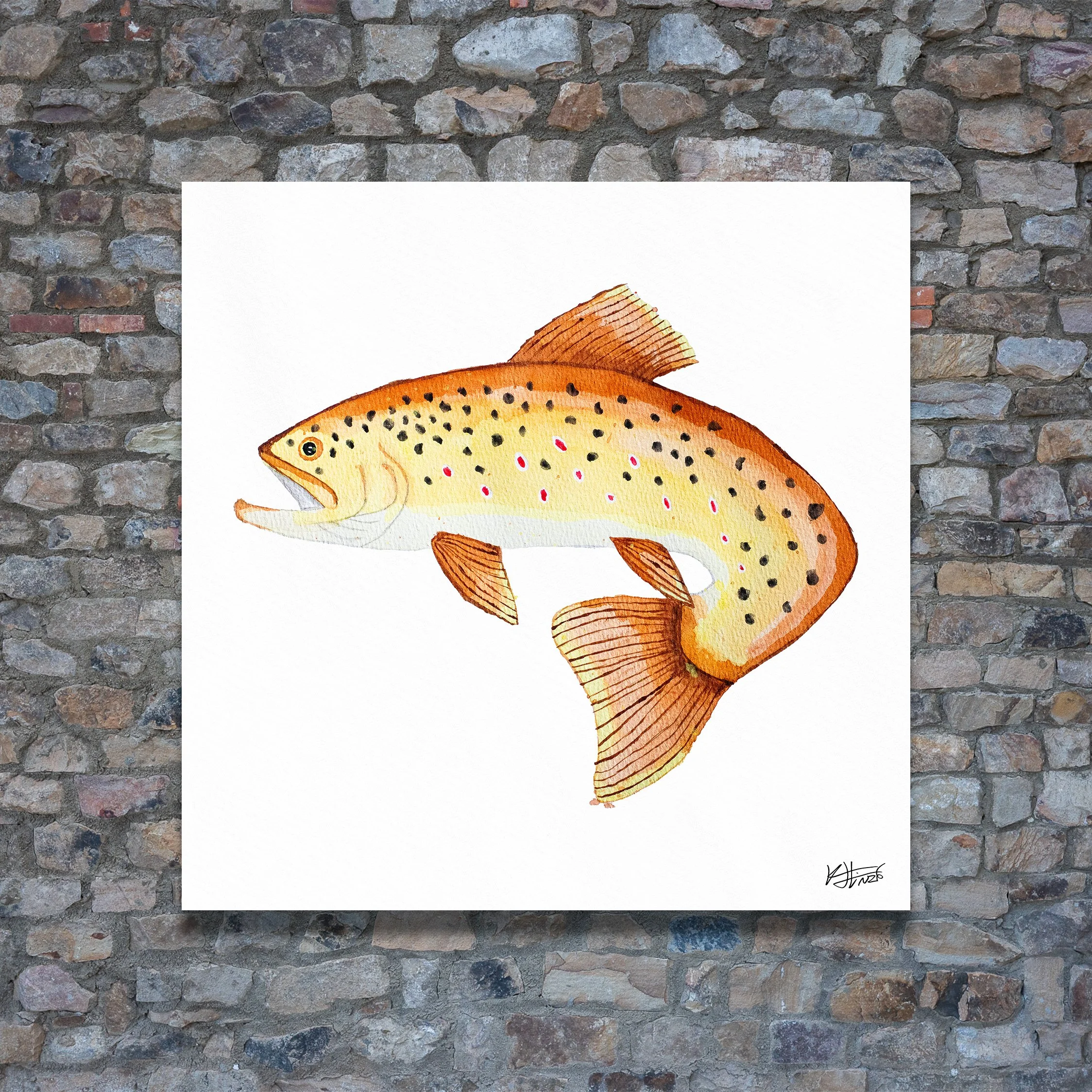 Brown Trout 1, Art Print