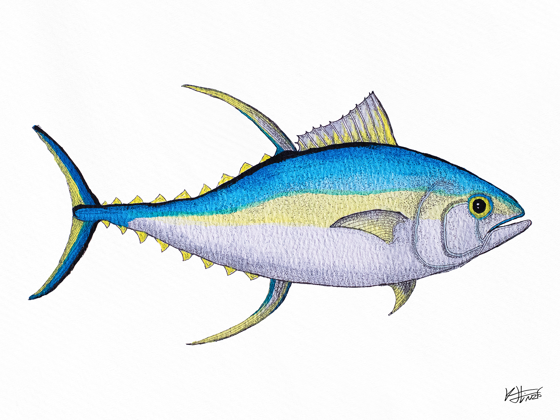 Tuna One - Fine Art Print