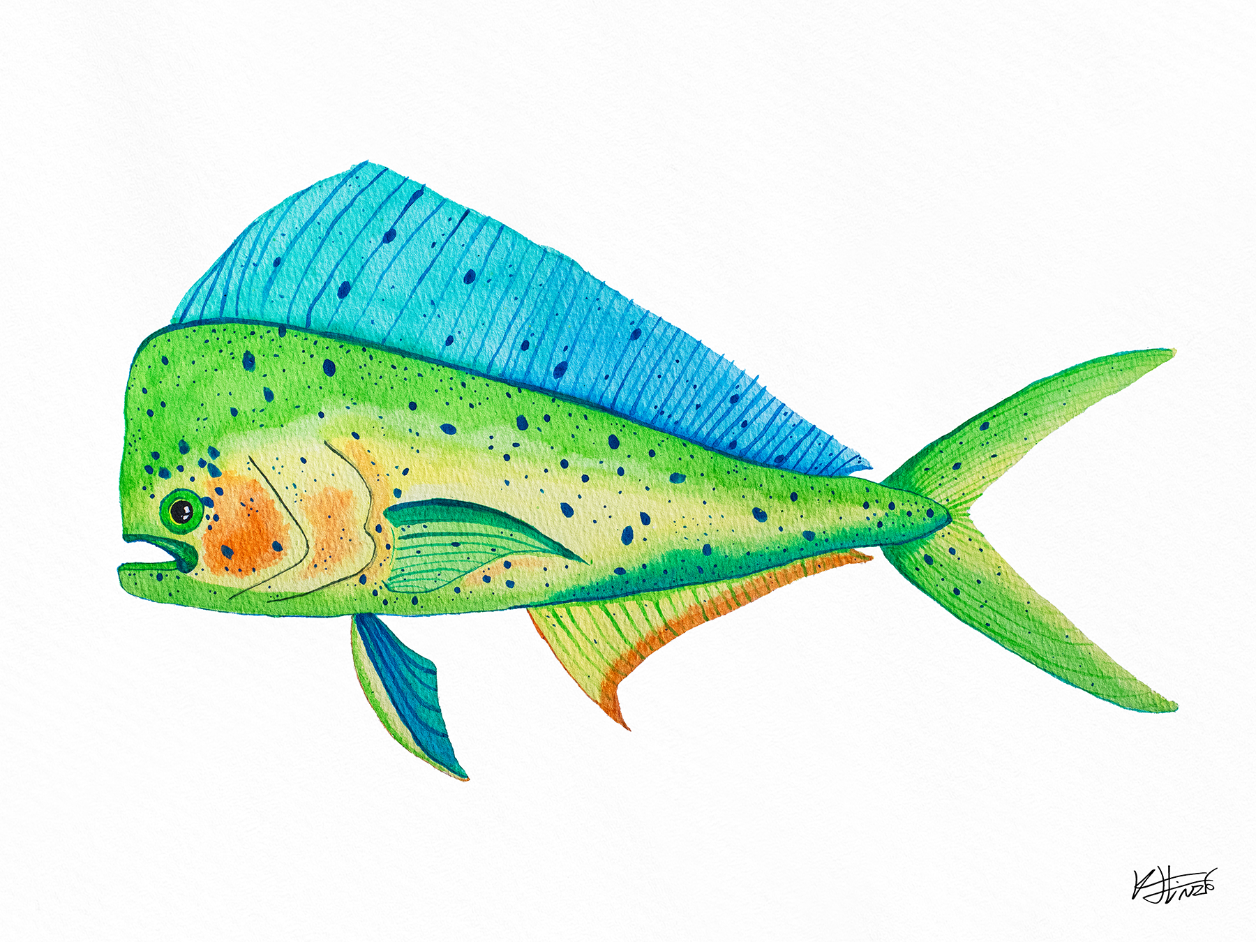 18X24 Mahi 1 - Mockup.png