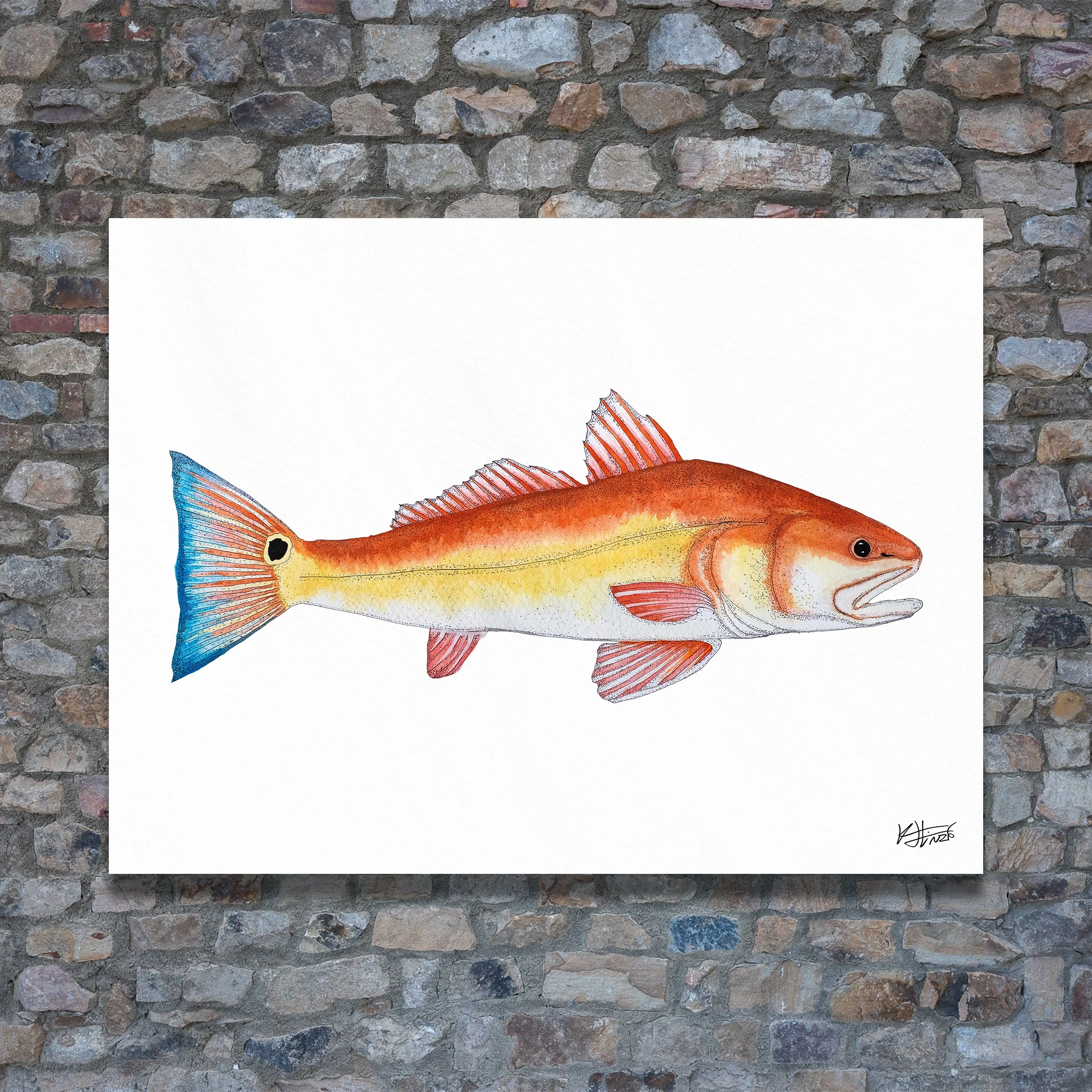 Redfish 1, Art Print