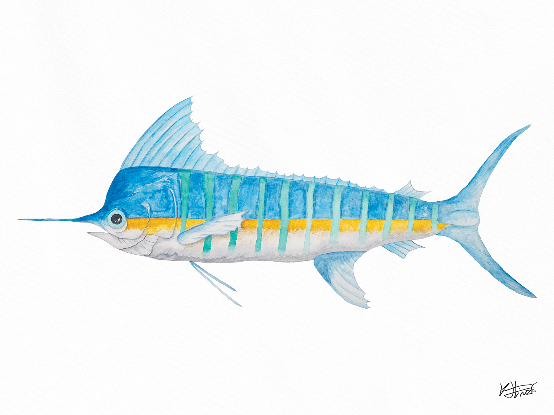 Marlin One - Fine Art Print