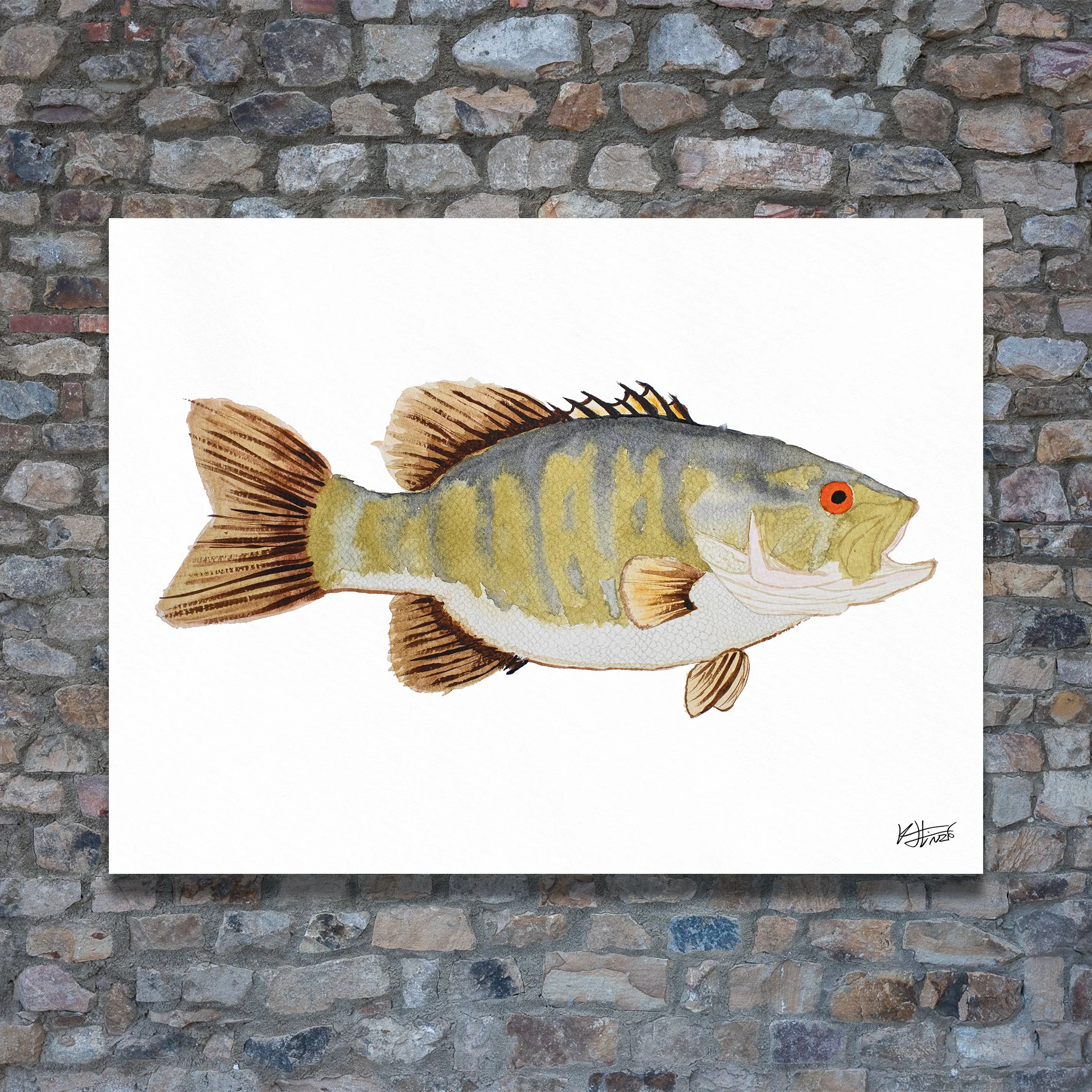 Smallmouth 1, Art Print
