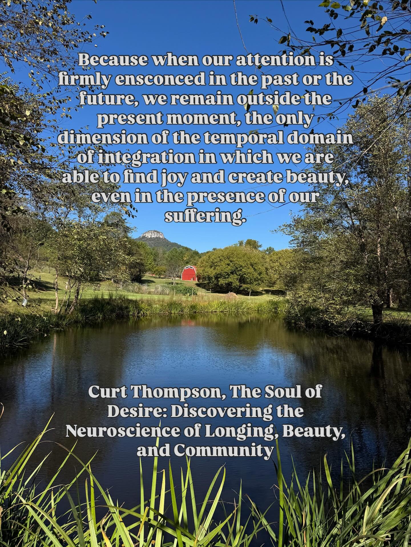 So much of finding the path of healing, of discovering the route to wholeness is cultivating an eye for beauty.

To escape our pain, our shame in healthier ways, it requires a commitment to engaging with things that are nourishing to the soul.

What&