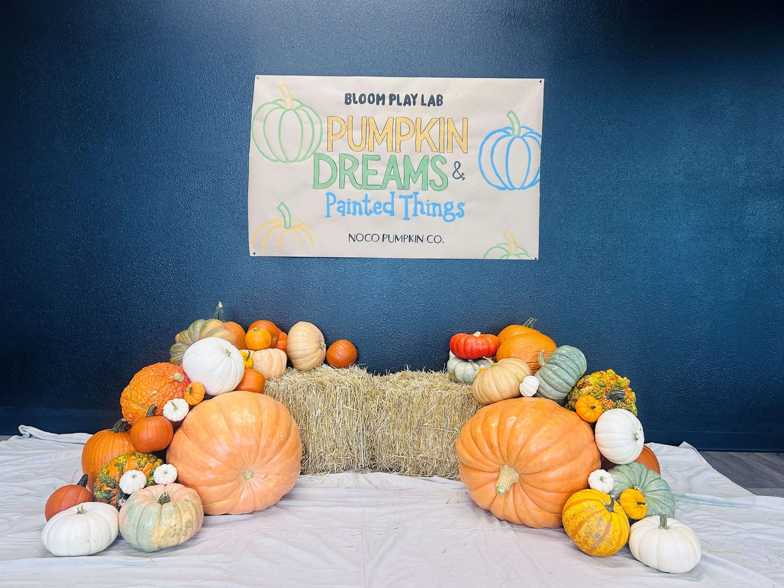 Photo booths & Fall Displays
