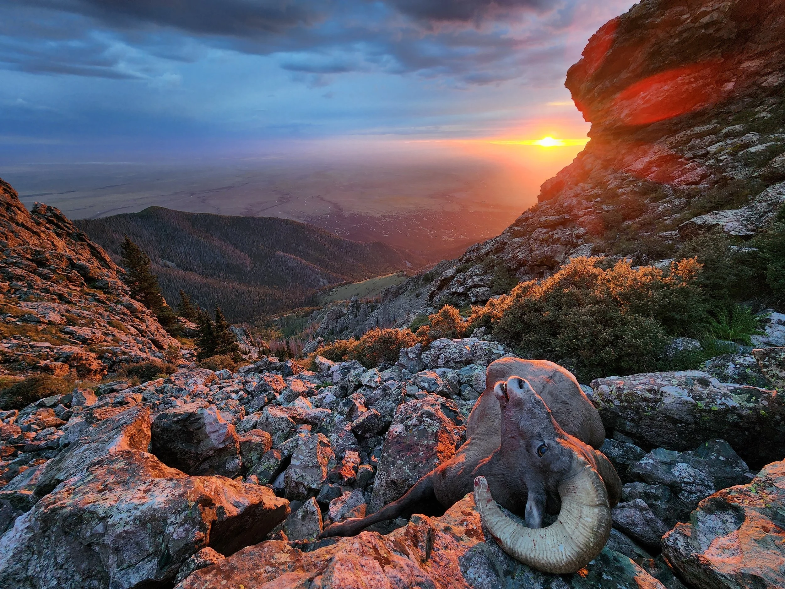 A scenic mountain landscape at sunset with rocky terrain, distant forested hills, and an animal shot using the Bow Paw archery monopod.