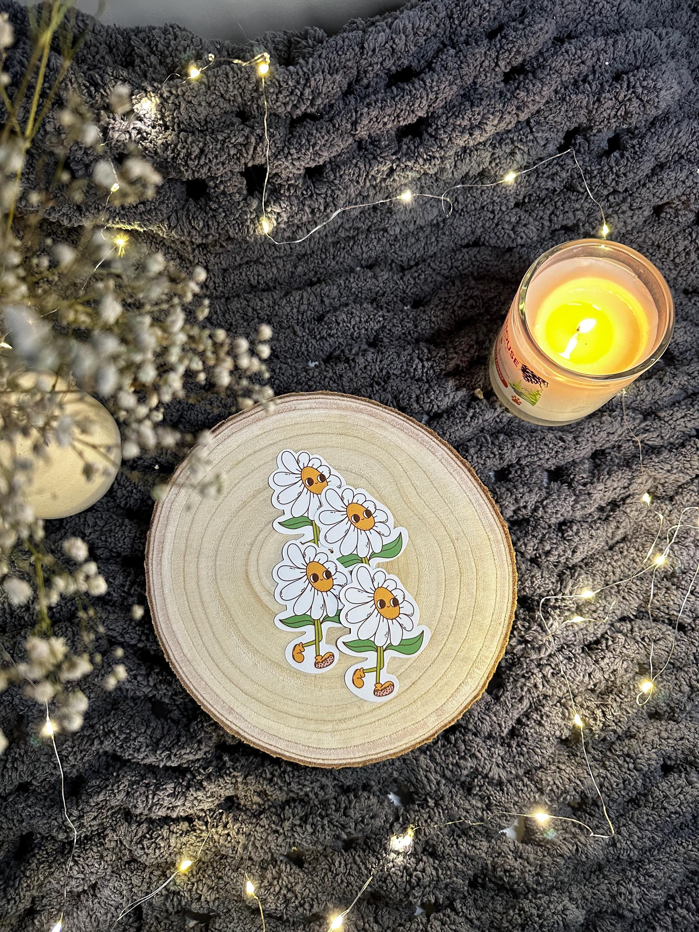 https://i.etsystatic.com/53823731/r/il/090c7a/6497681457/il_fullxfull.6497681457_ljha.jpg
