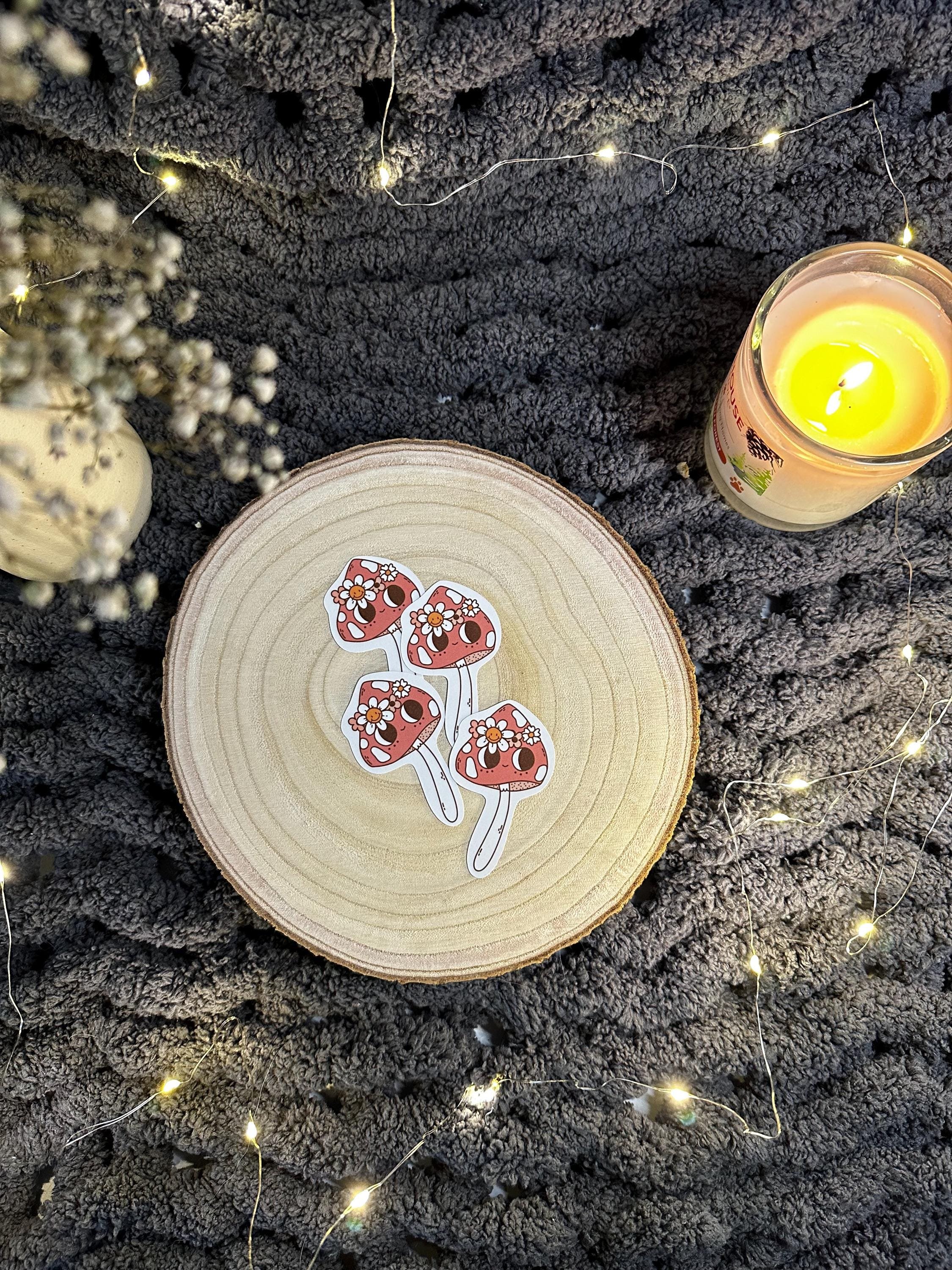 https://i.etsystatic.com/53823731/r/il/e3e211/6497684383/il_fullxfull.6497684383_b0s6.jpg