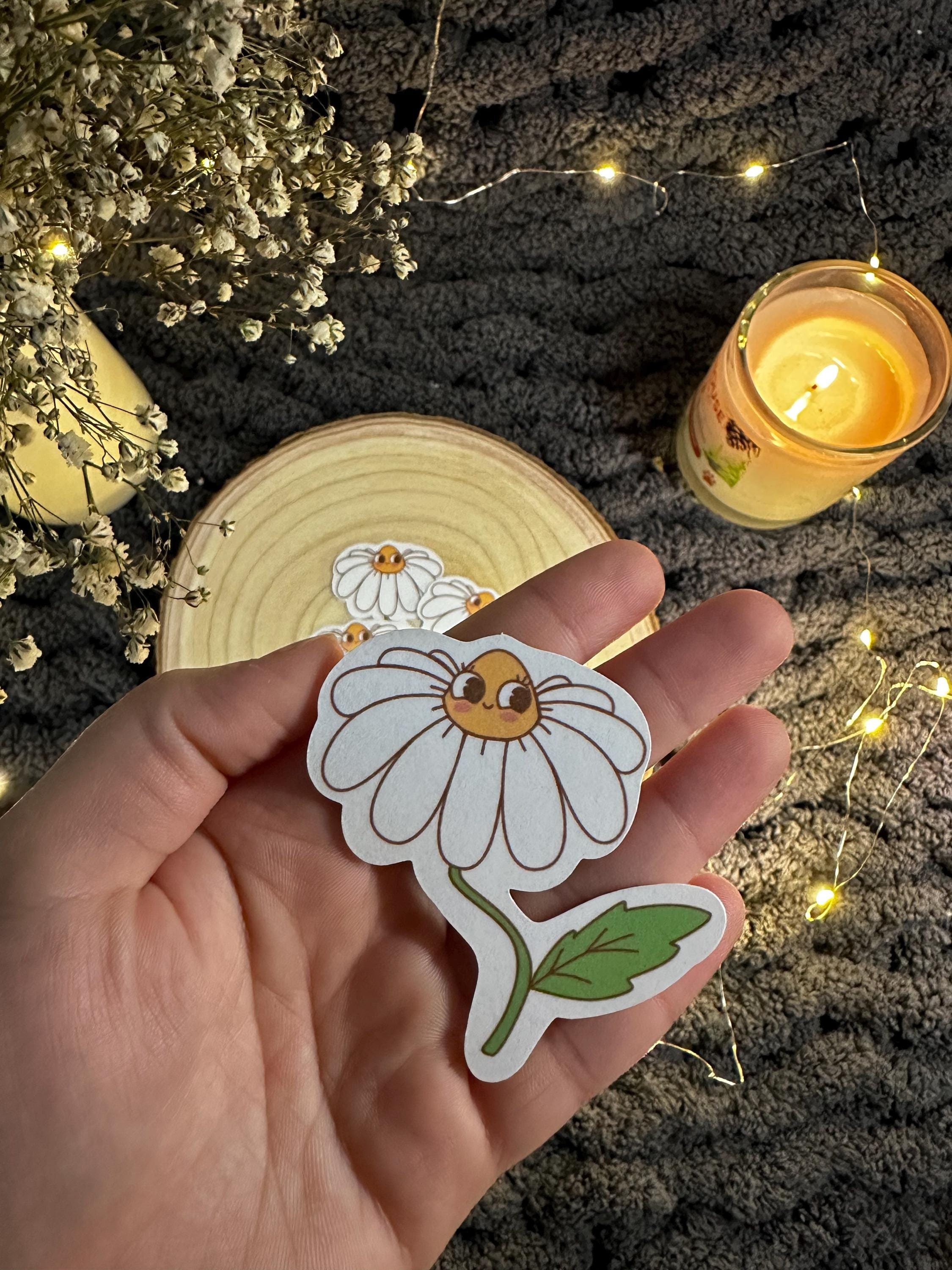 https://i.etsystatic.com/53823731/r/il/69d101/6448393340/il_fullxfull.6448393340_hj8i.jpg