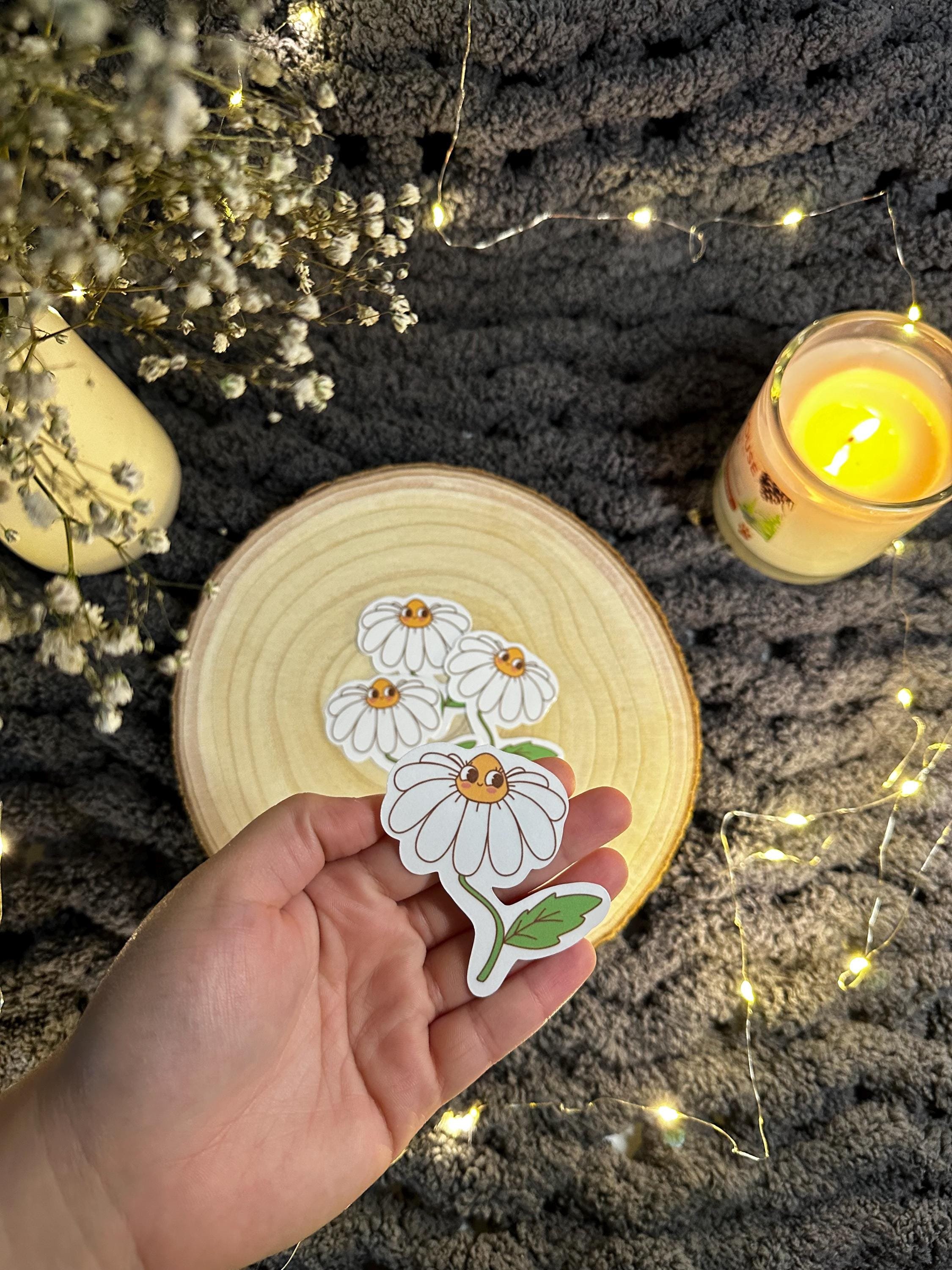 https://i.etsystatic.com/53823731/r/il/191970/6496495751/il_fullxfull.6496495751_30u7.jpg