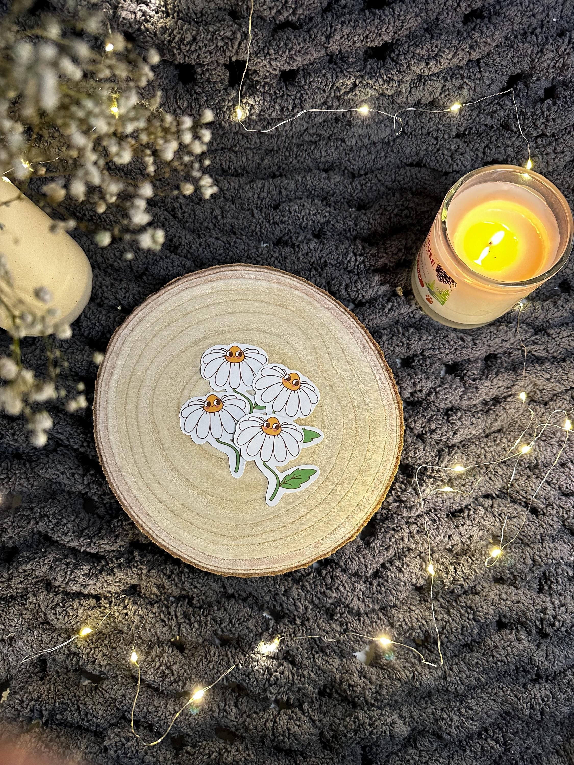 https://i.etsystatic.com/53823731/r/il/072ead/6496495897/il_fullxfull.6496495897_9fi3.jpg