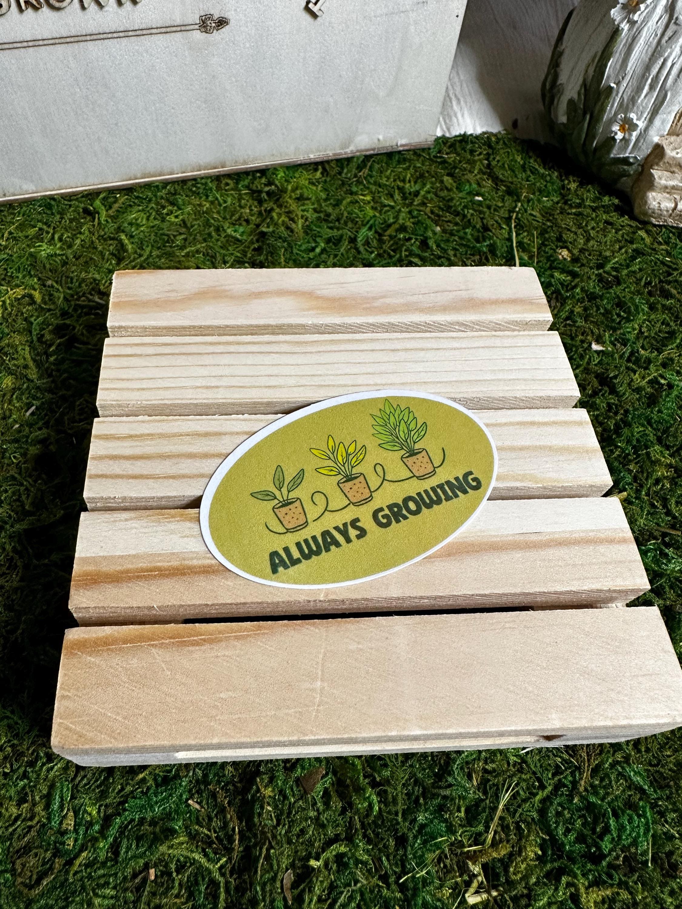 https://i.etsystatic.com/53823731/r/il/1a0be0/6749371134/il_fullxfull.6749371134_515q.jpg