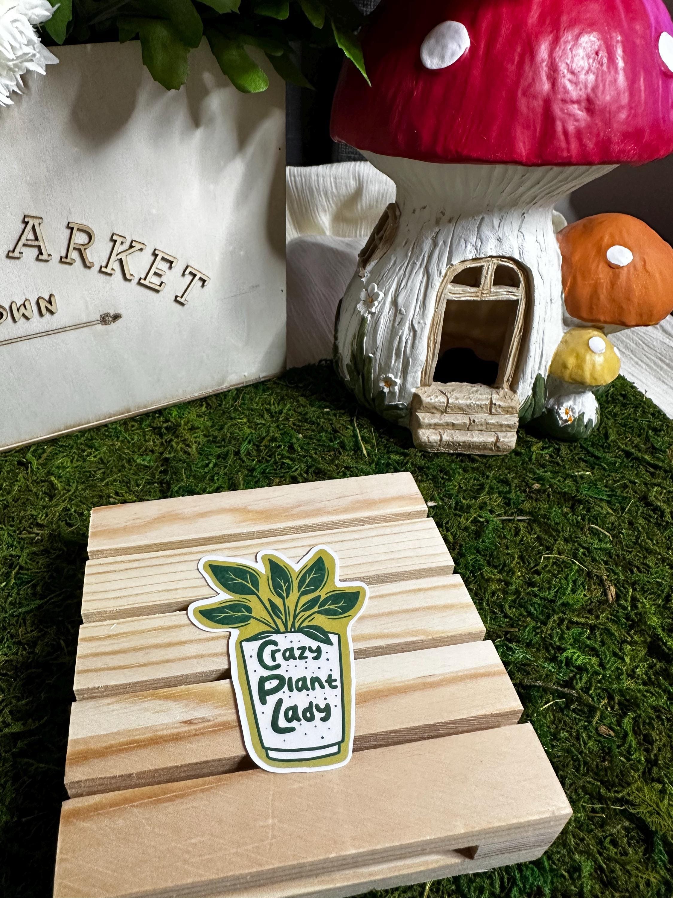 https://i.etsystatic.com/53823731/r/il/cae628/6797385907/il_fullxfull.6797385907_ldq8.jpg